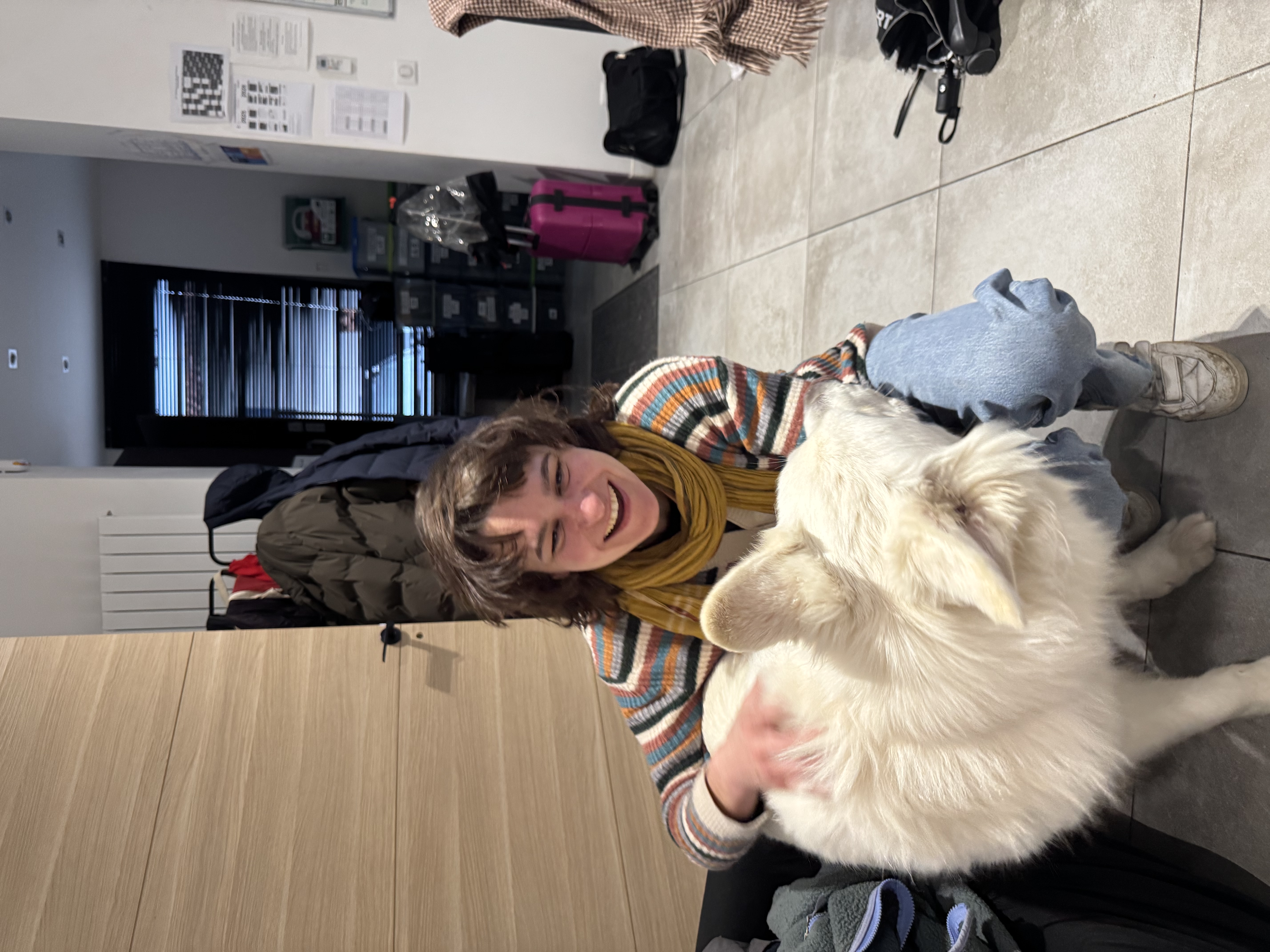 image-6