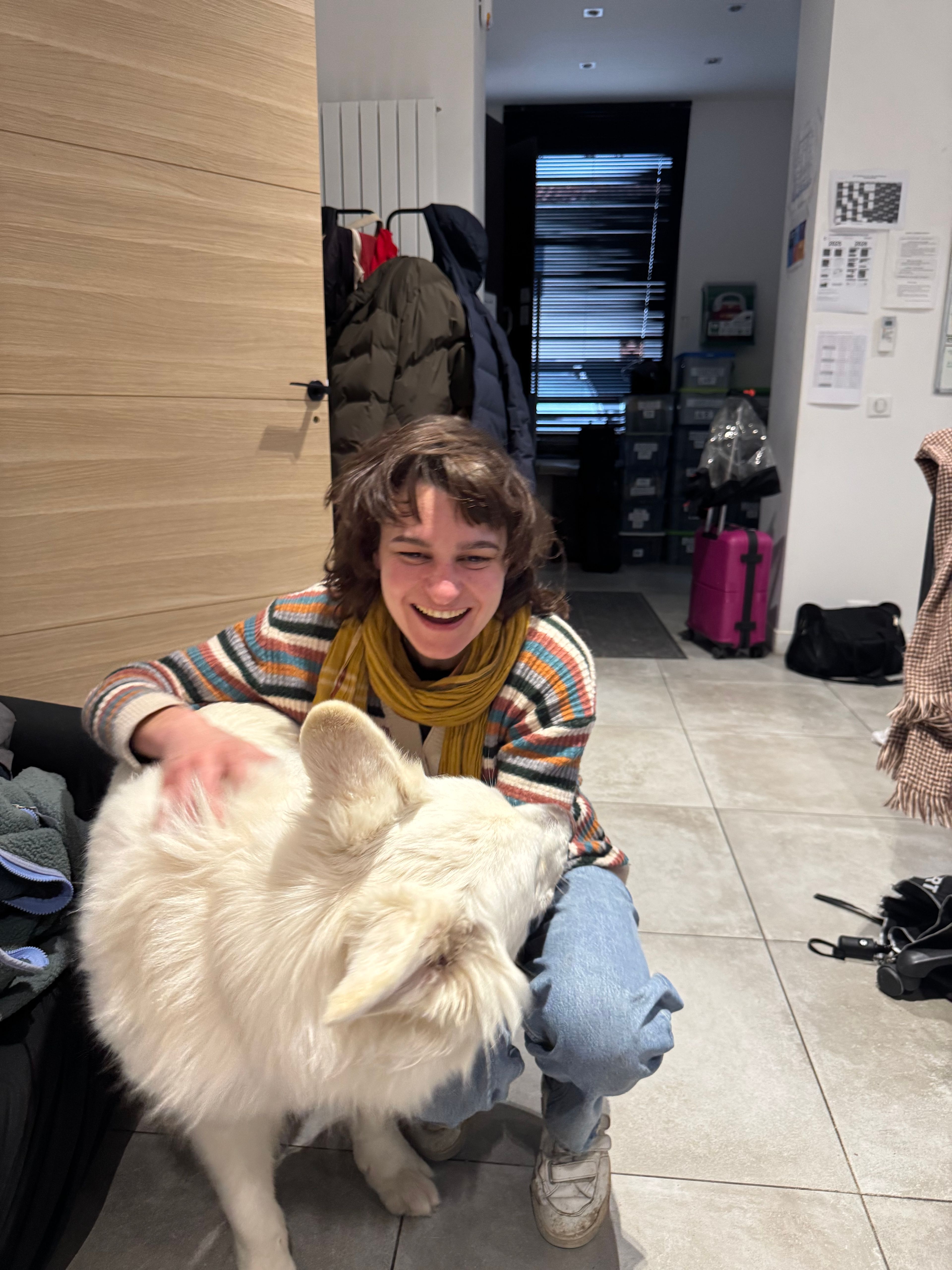 image-6