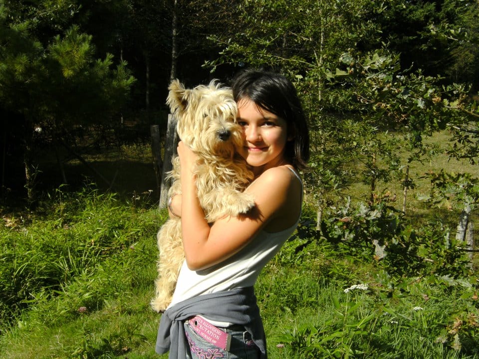 image-5