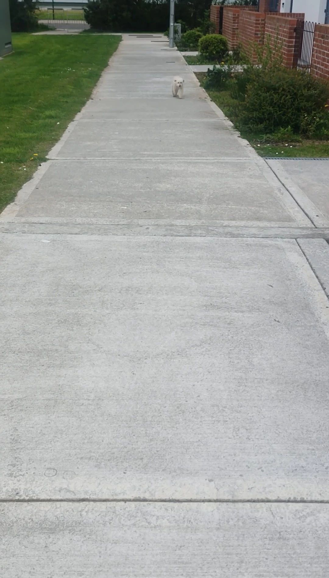 image-20
