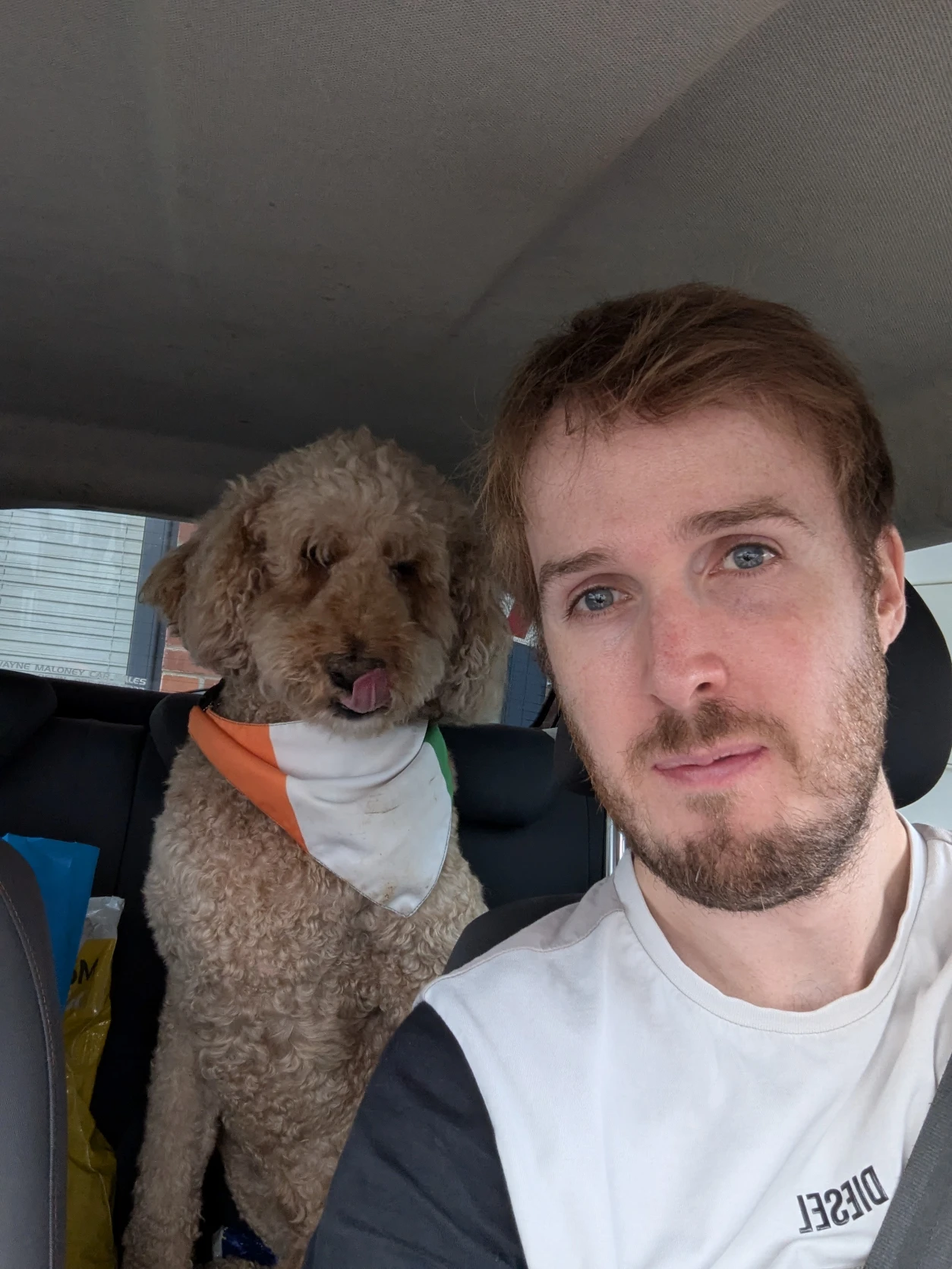 image-8