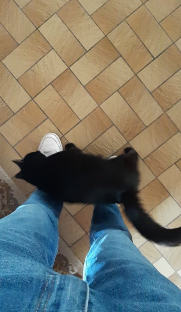 image-6