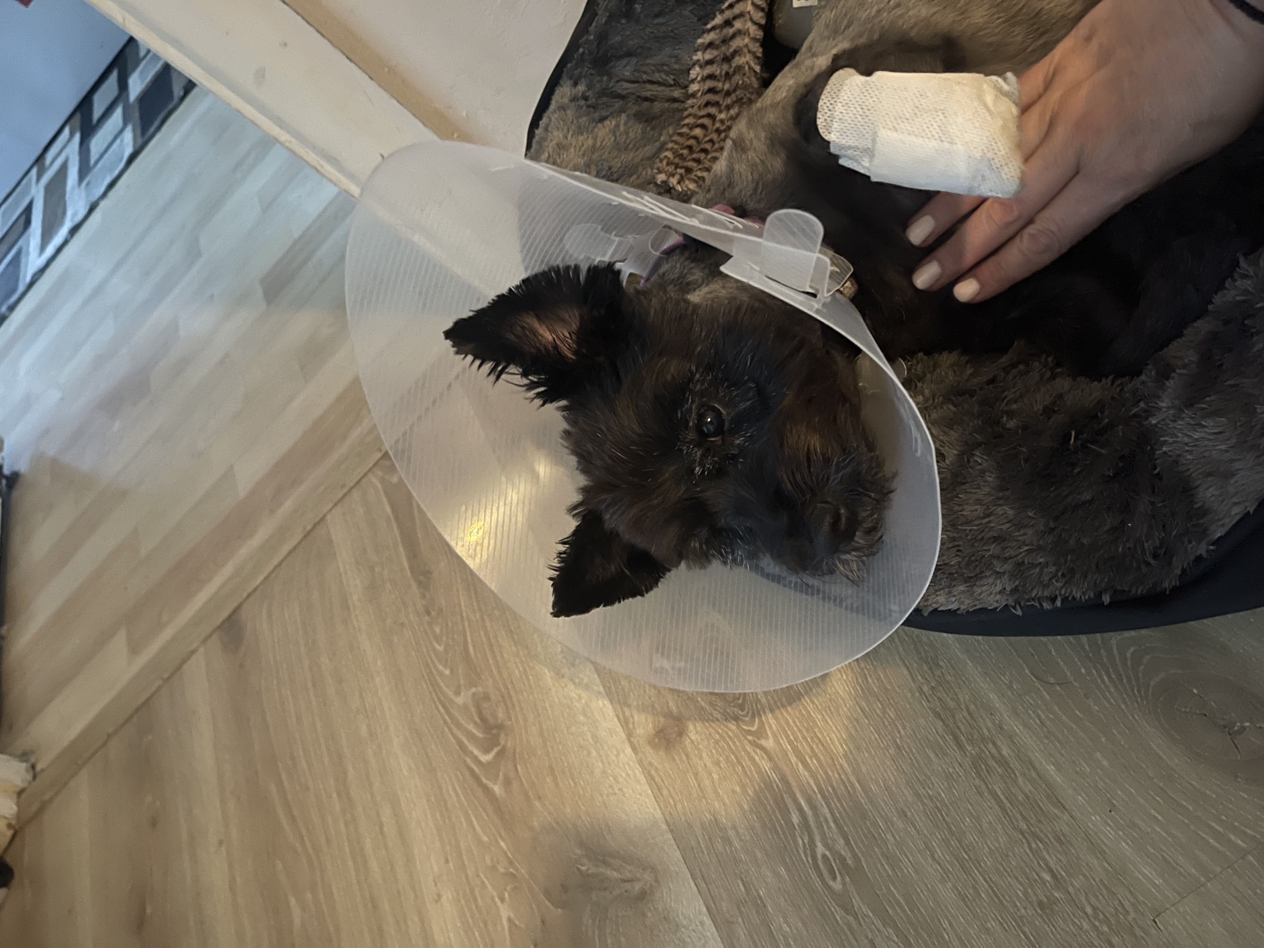image-16