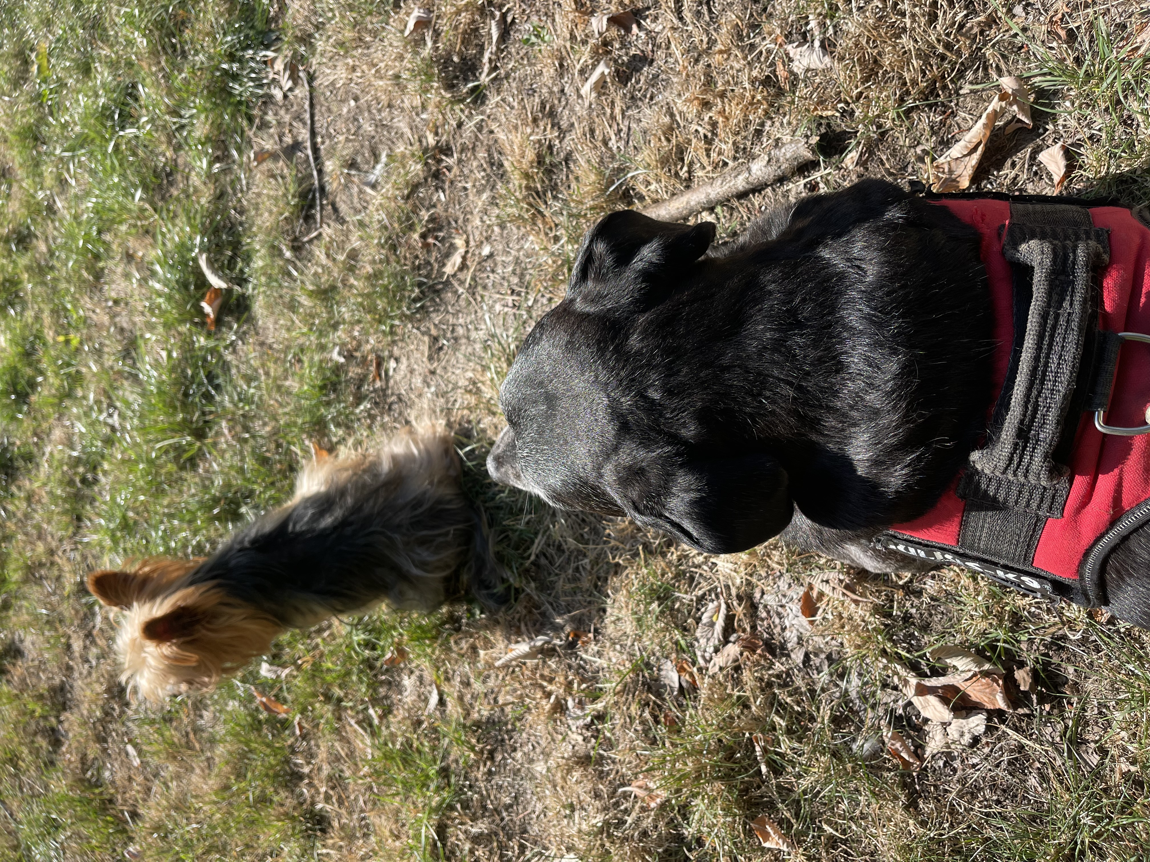 image-13