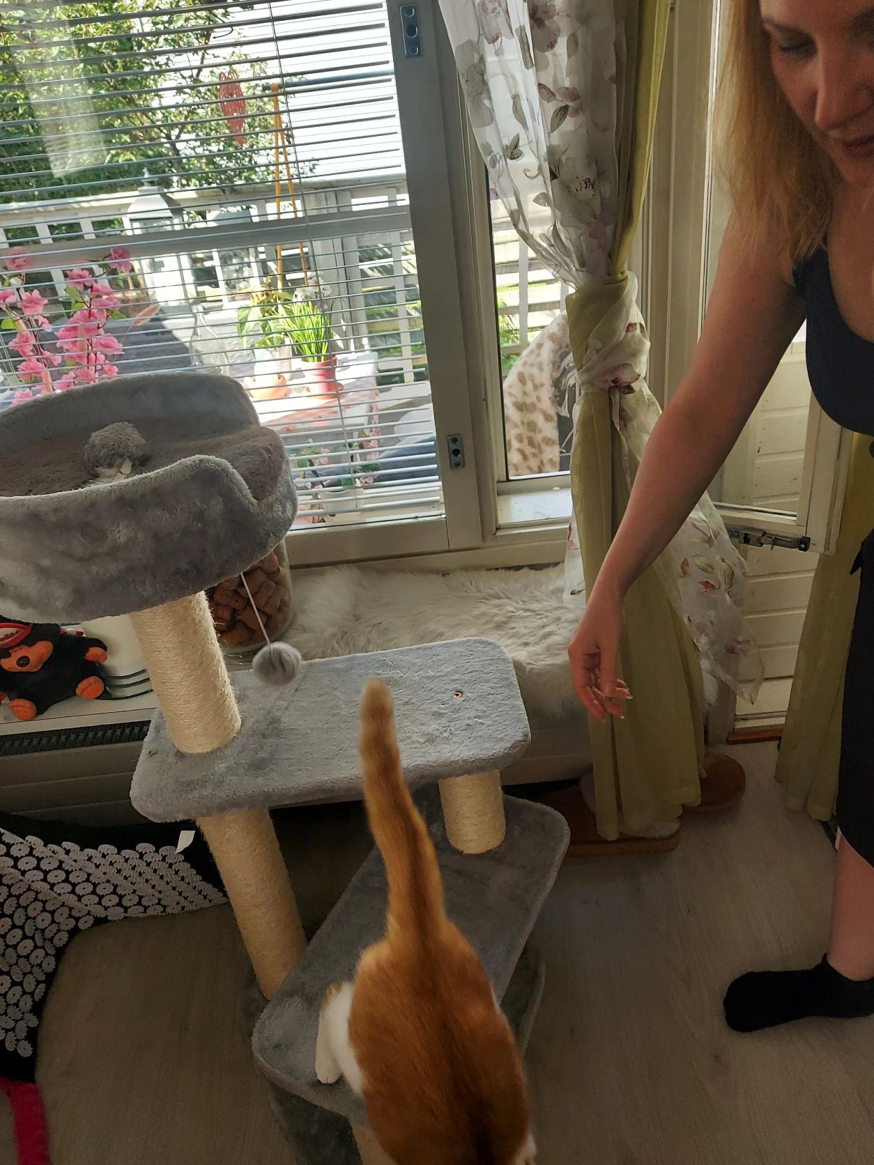 image-10