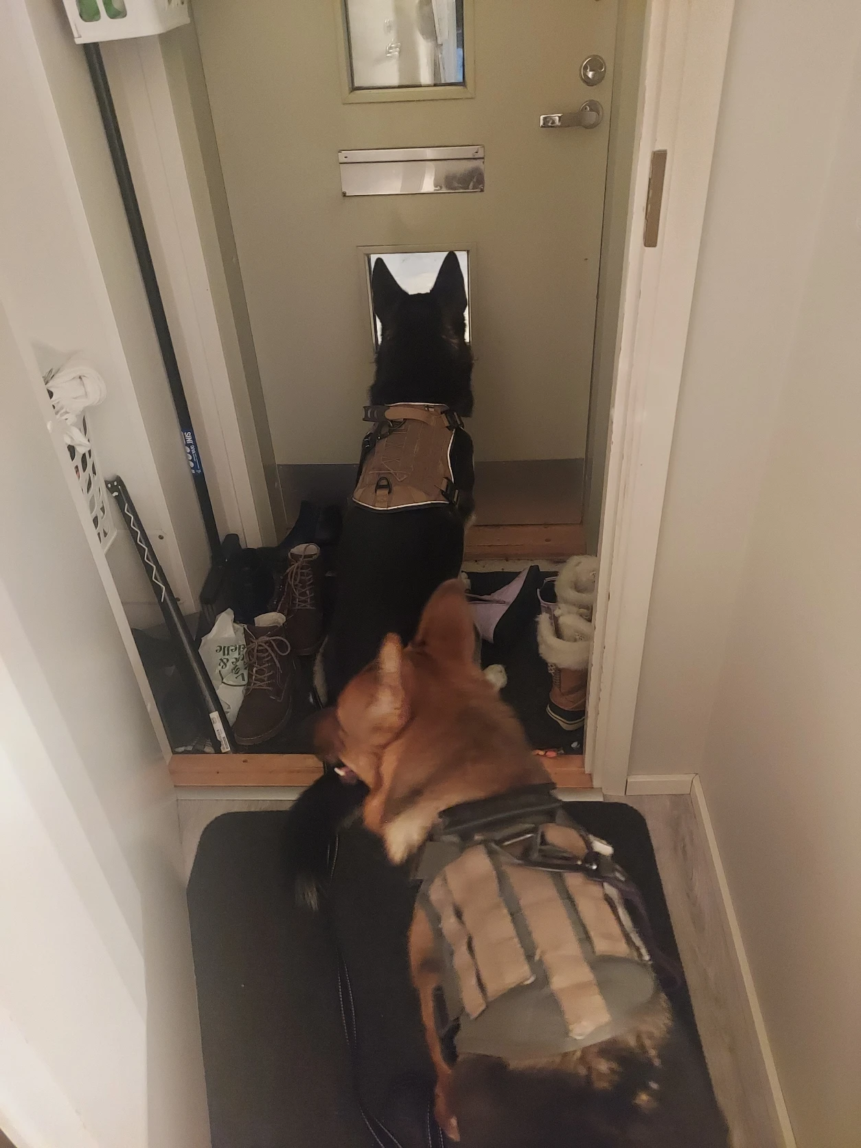 image-6