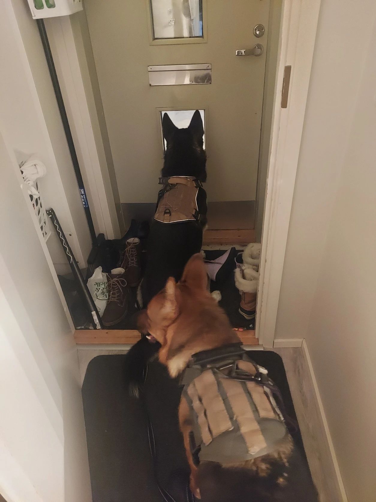 image-6