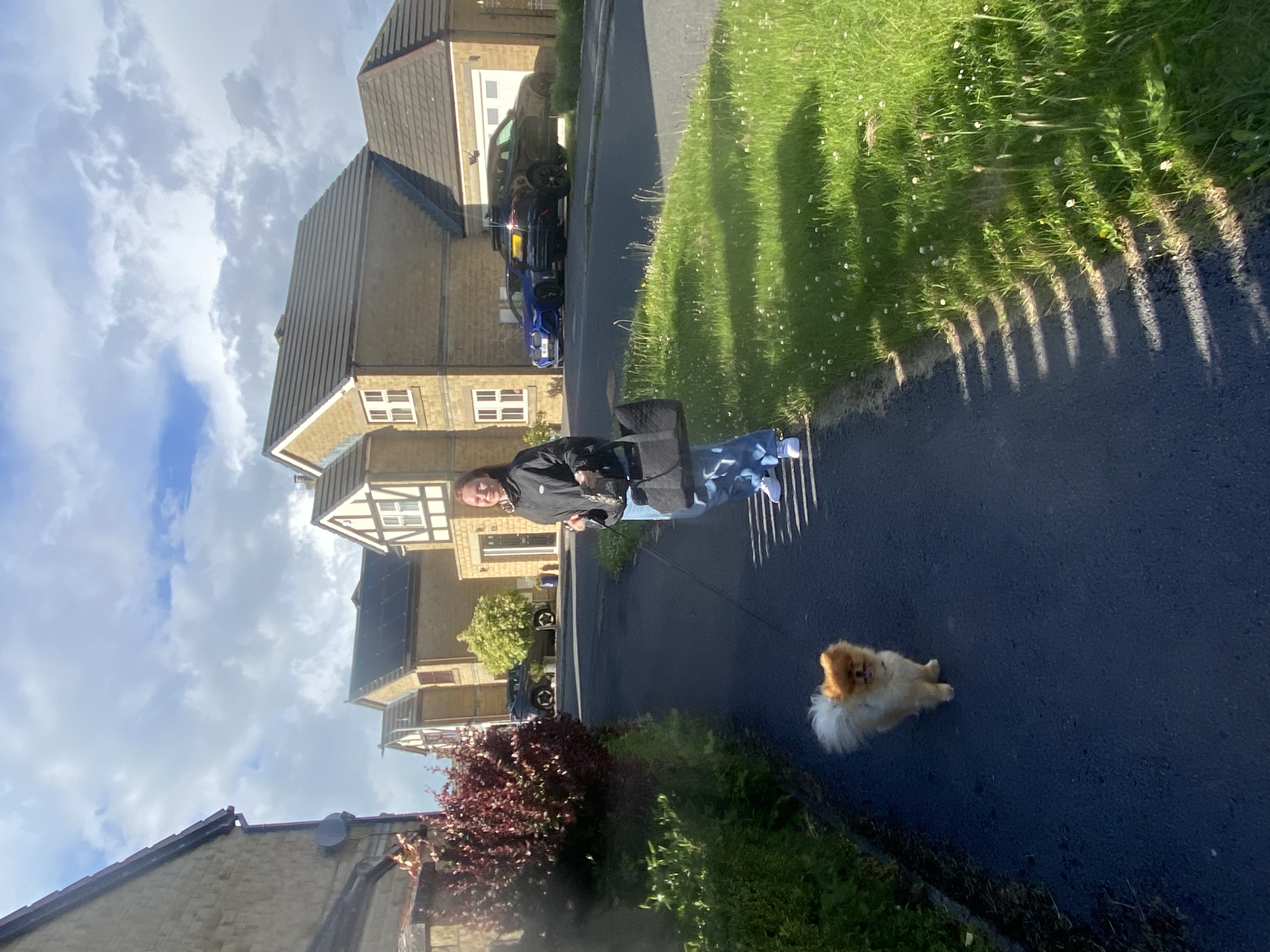 image-5