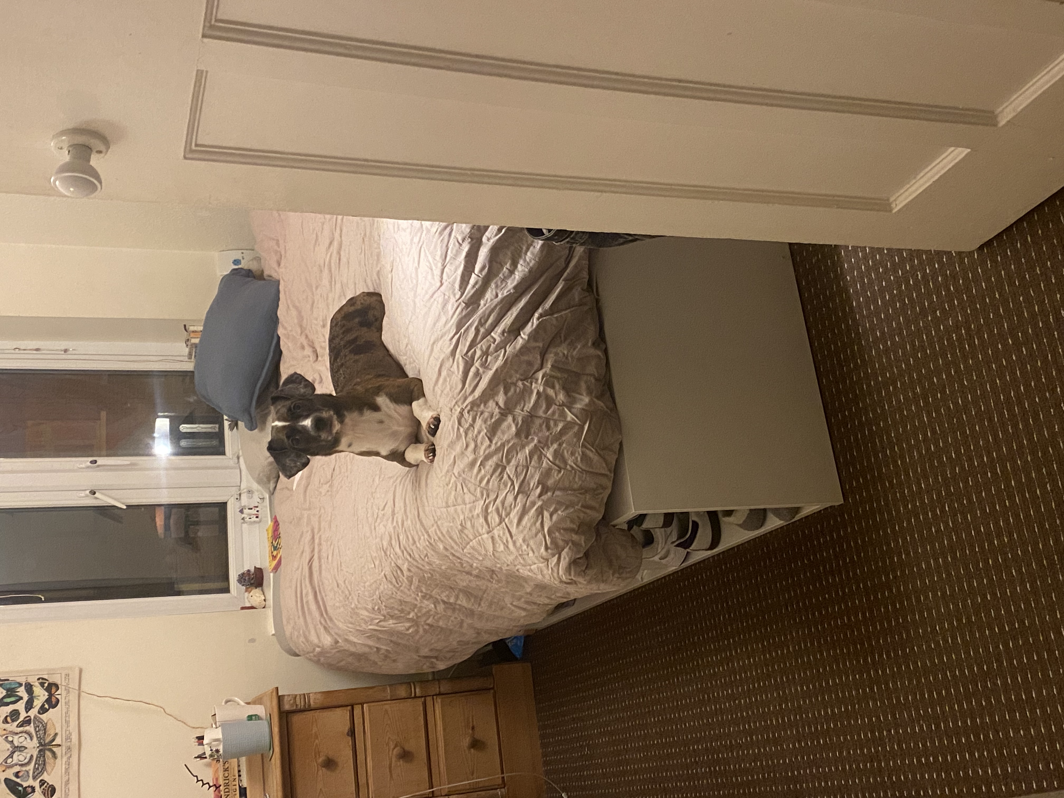 image-9