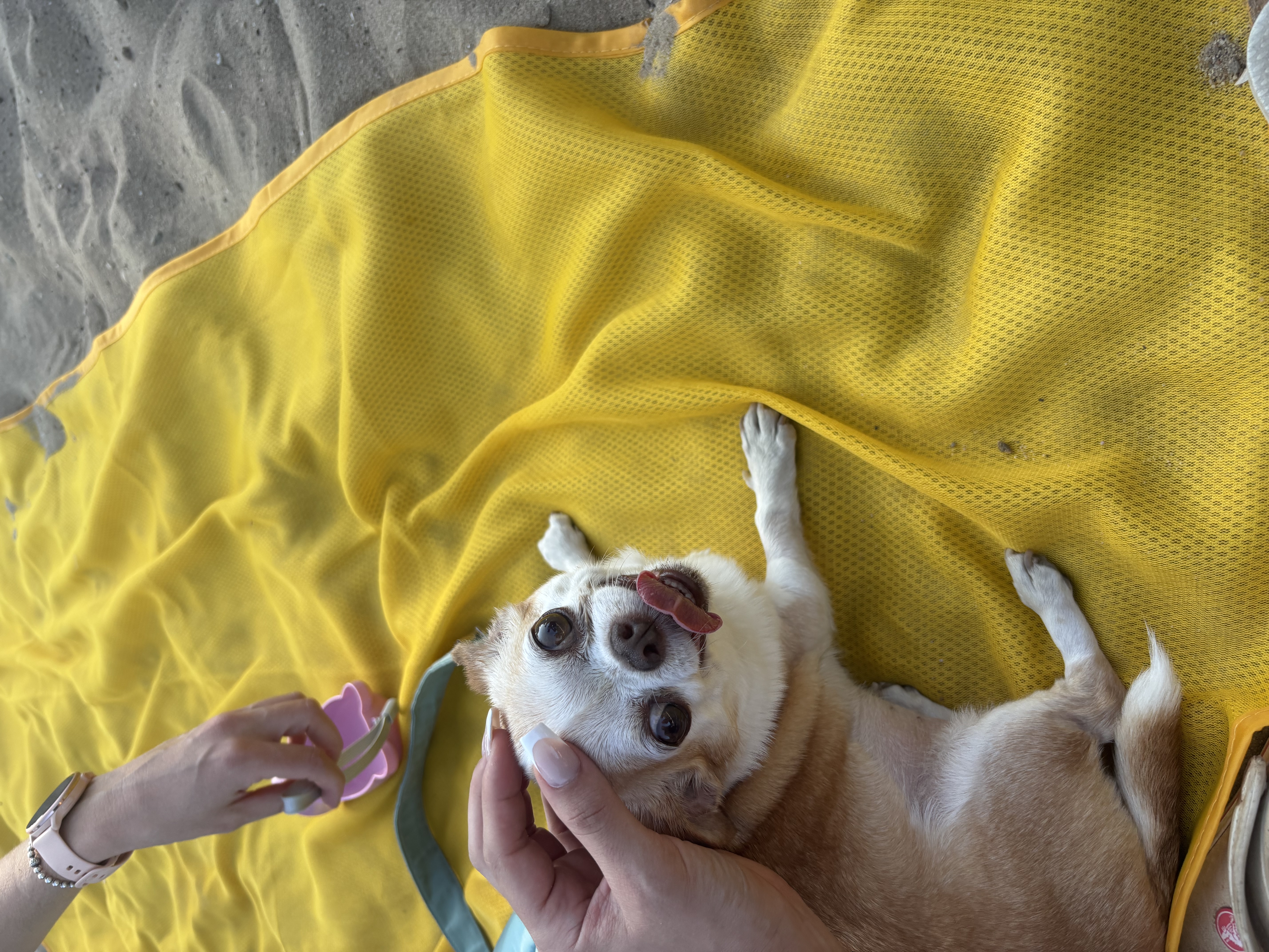 image-9
