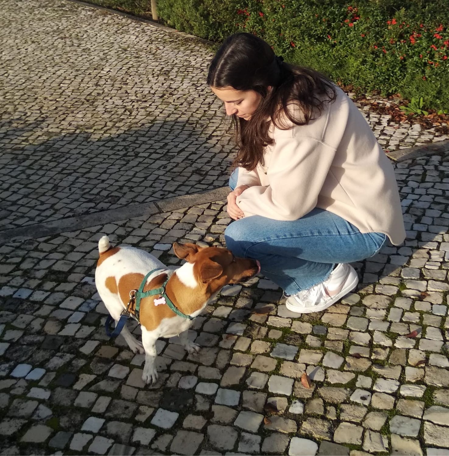 image-6