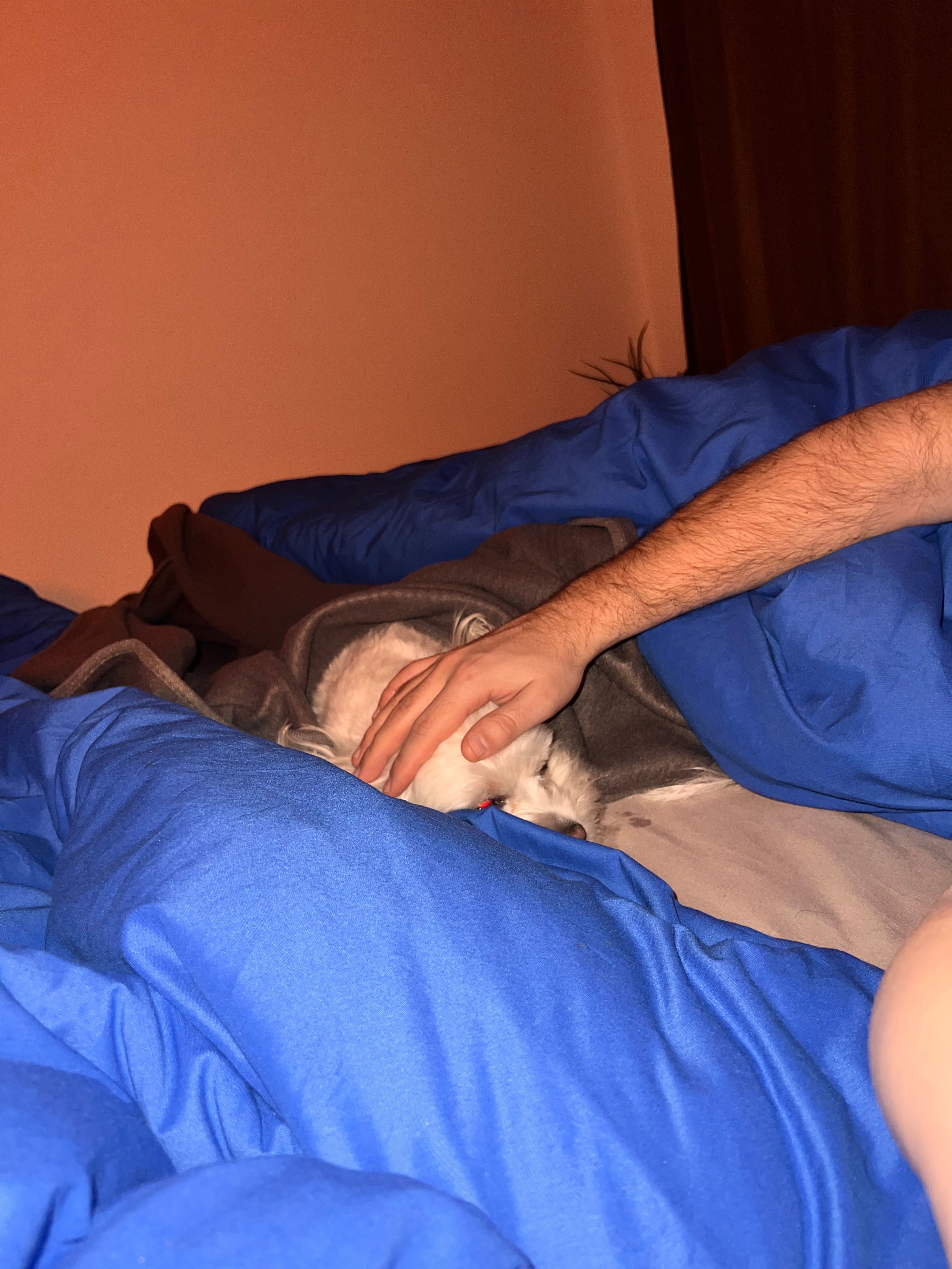 image-12