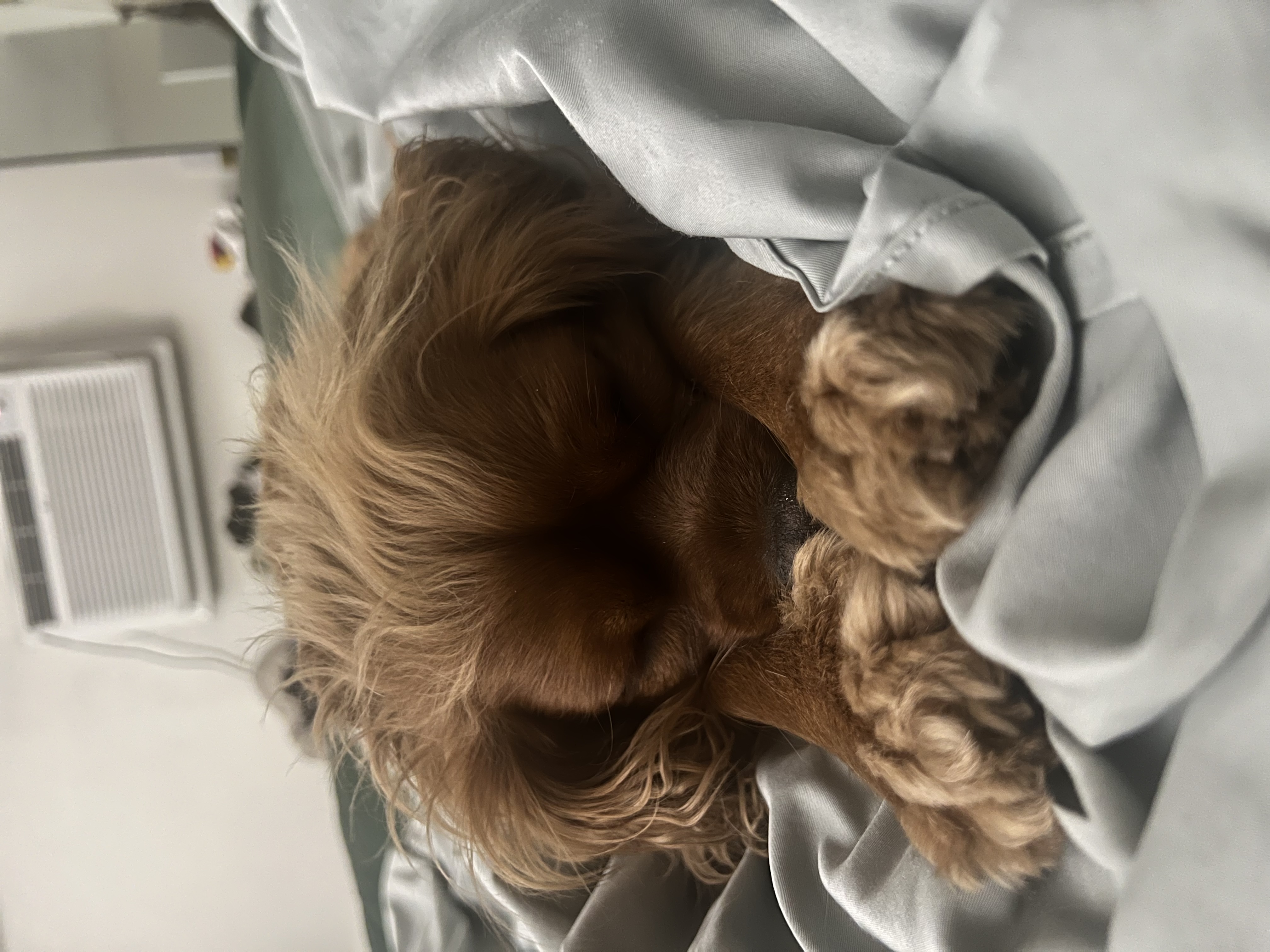 image-18