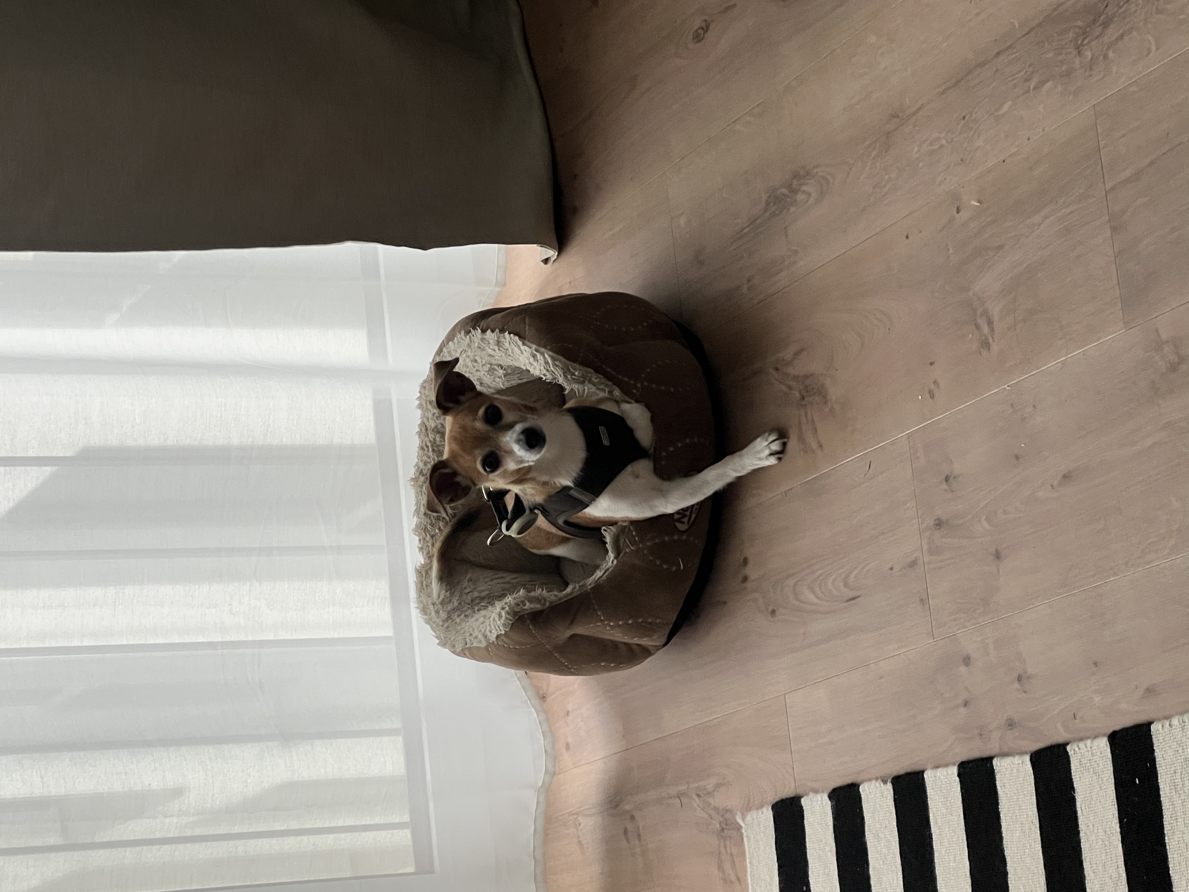 image-15