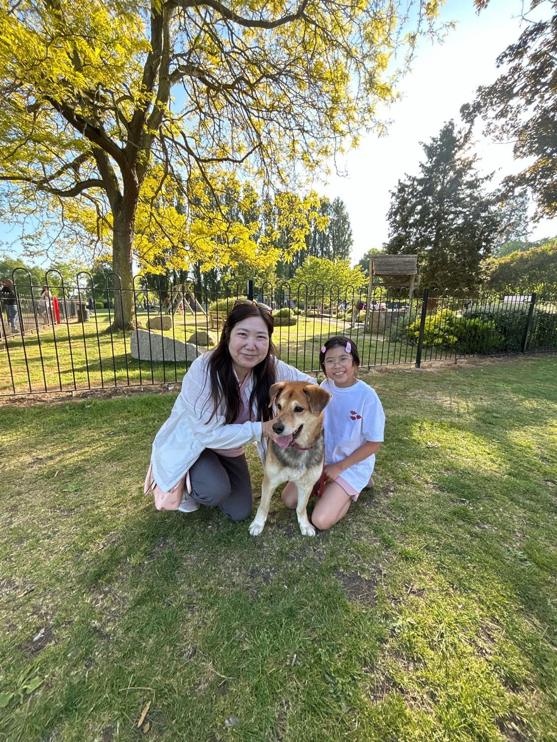 image-1