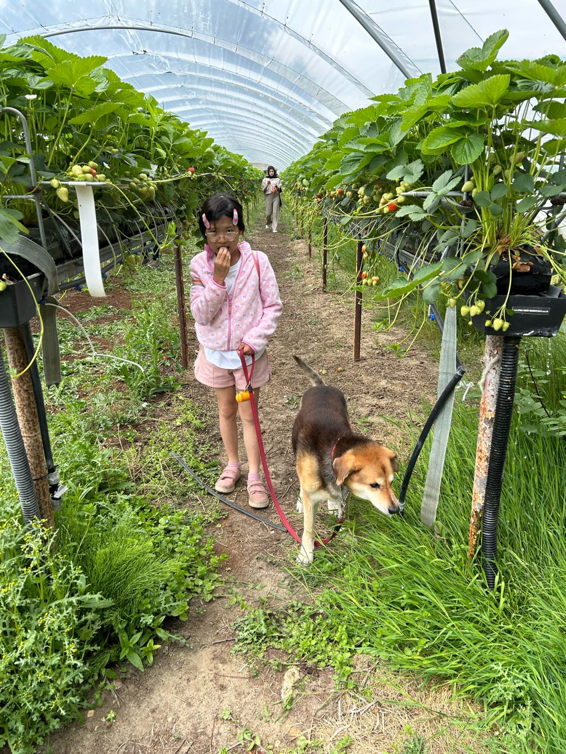 image-2