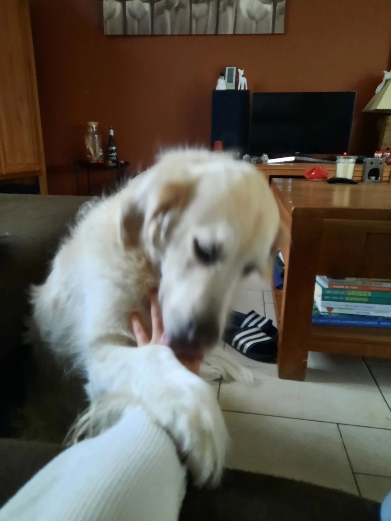 image-5