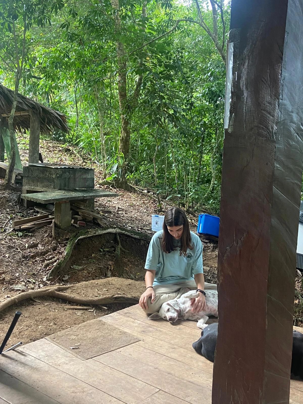 image-3