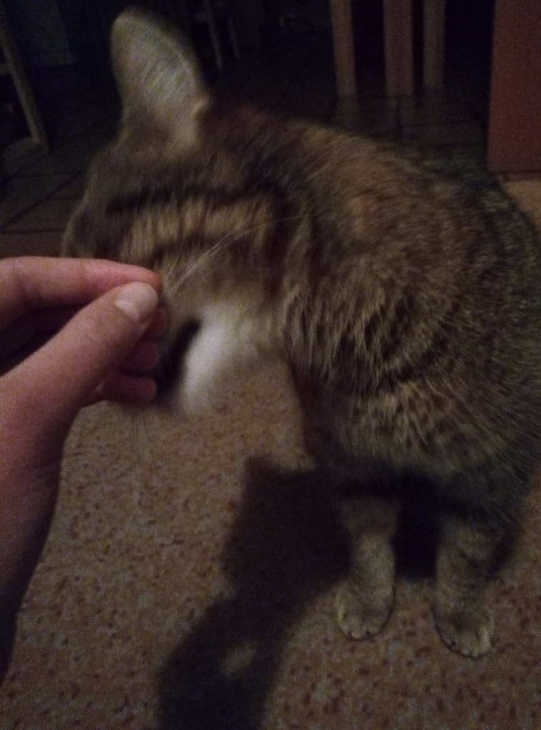 image-8