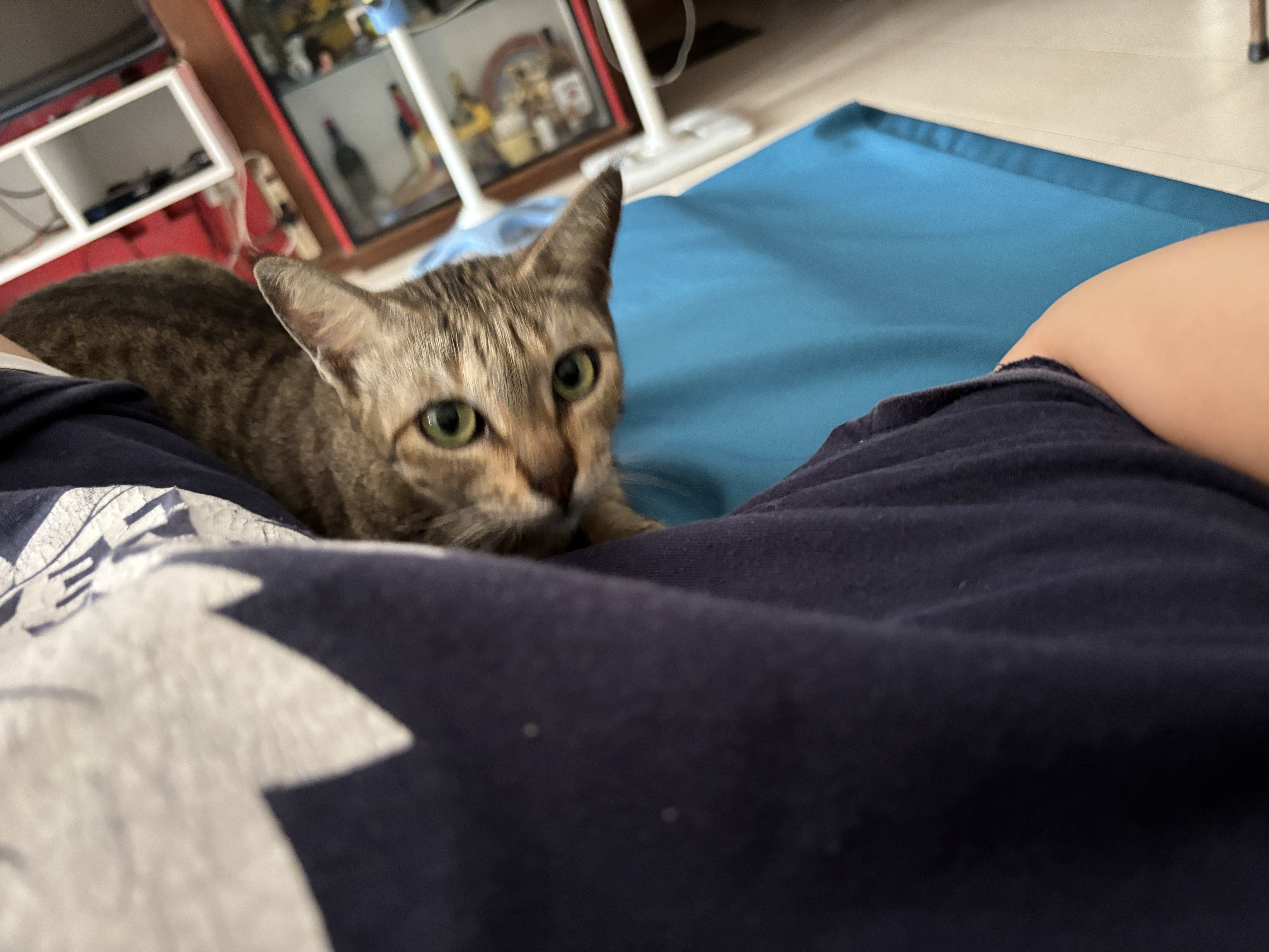 image-5