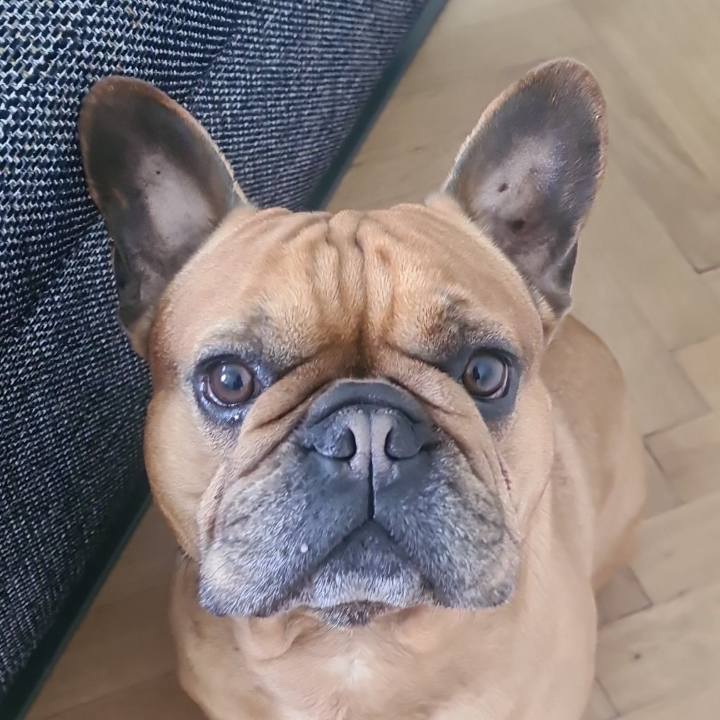 Marilou