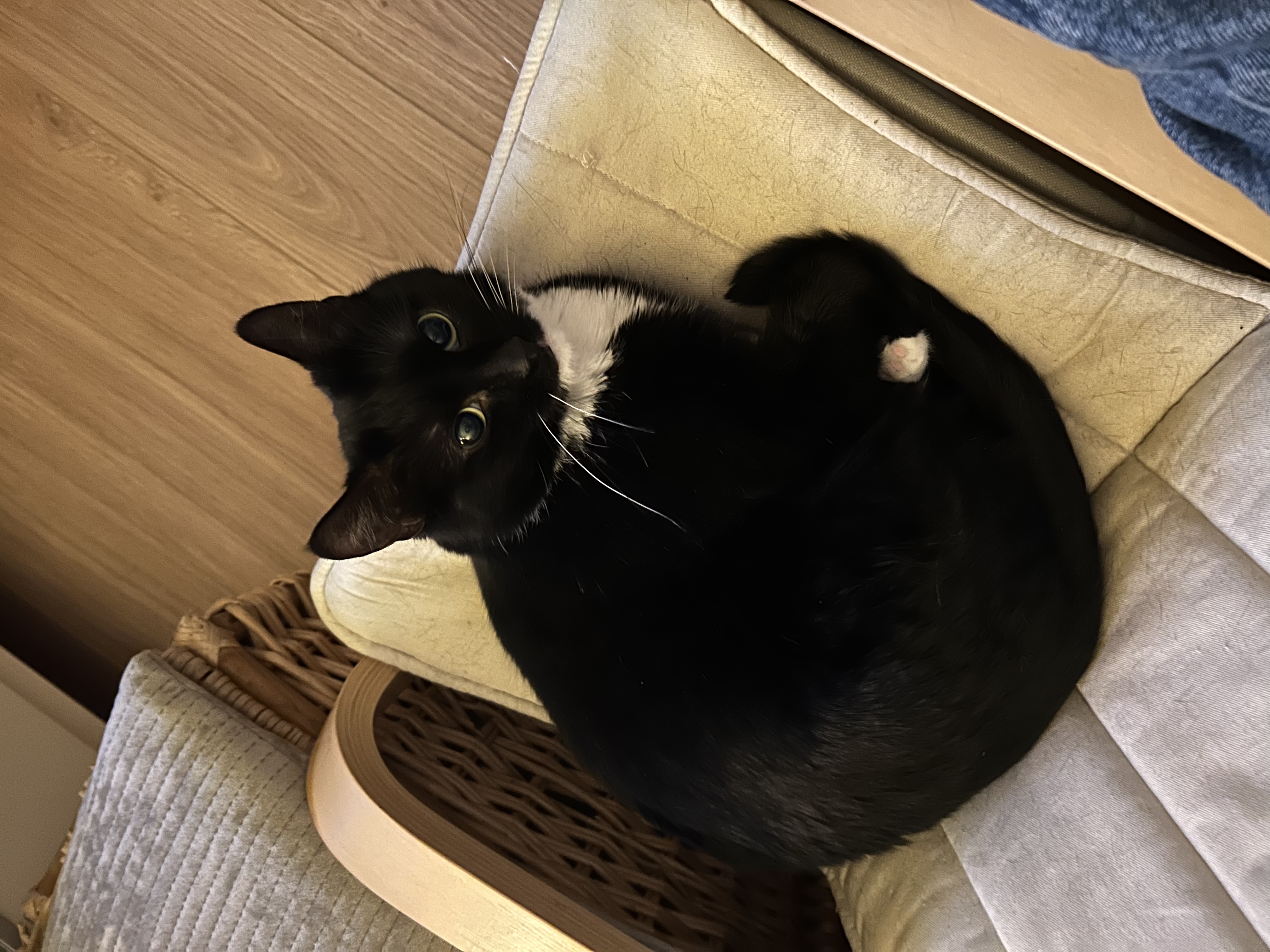 image-28