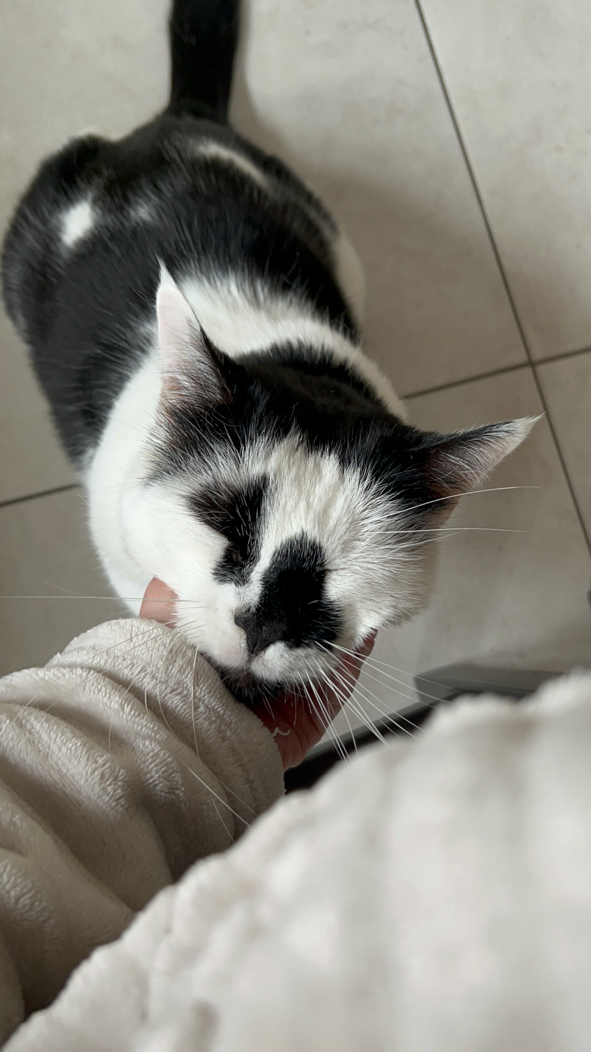 image-10