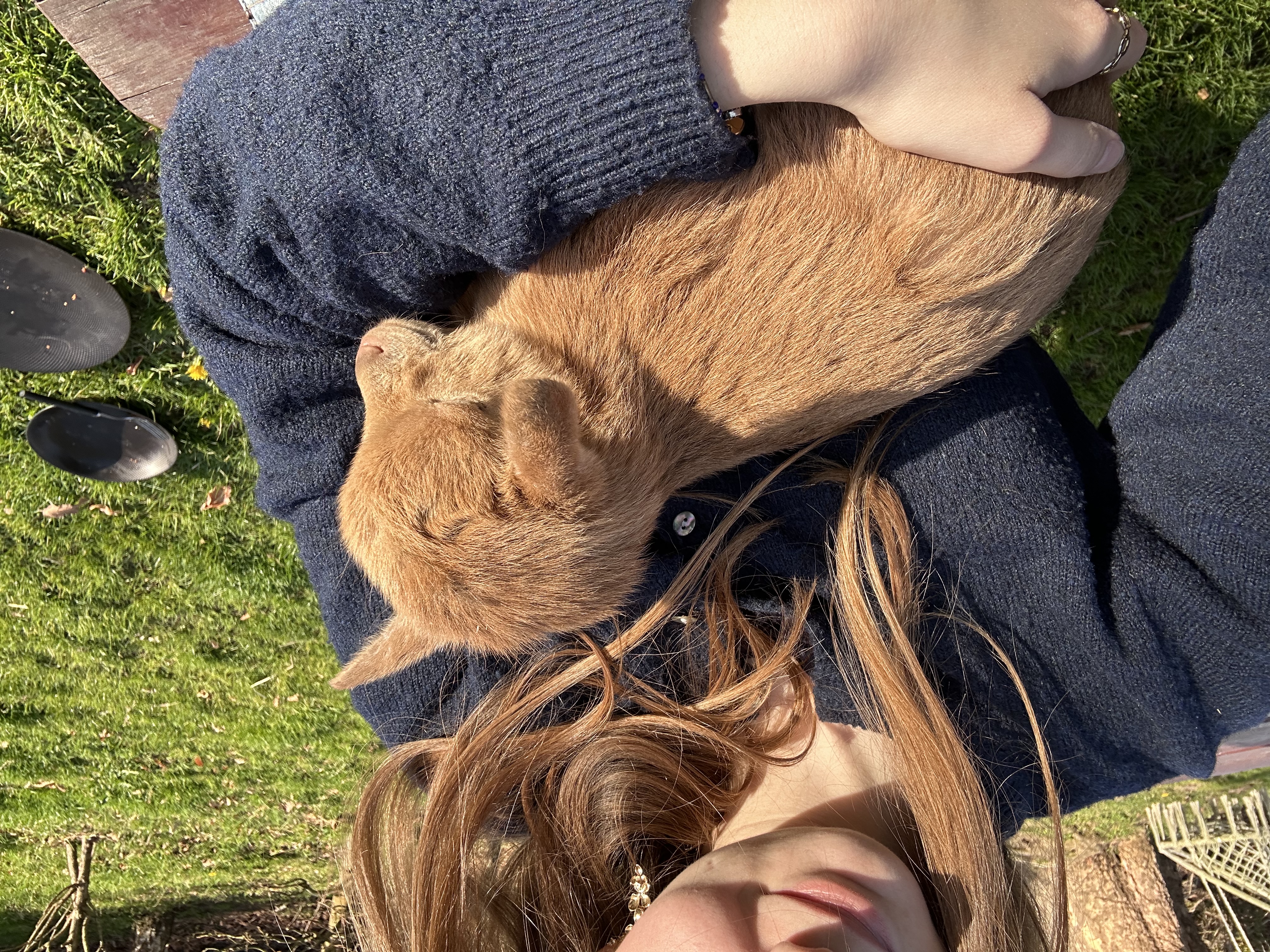 image-9