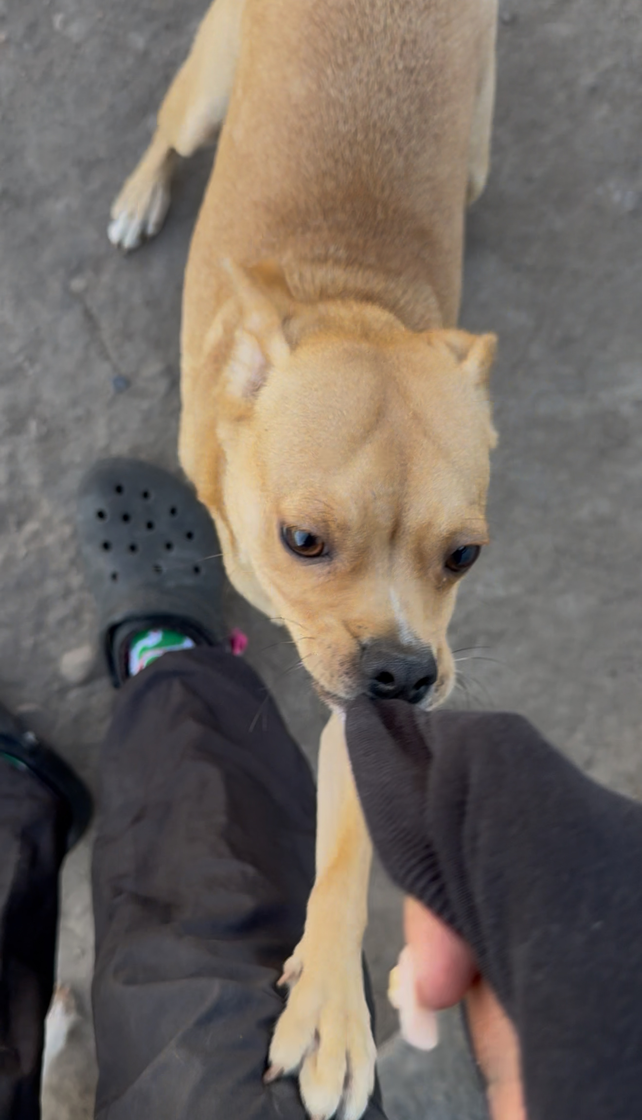 image-12