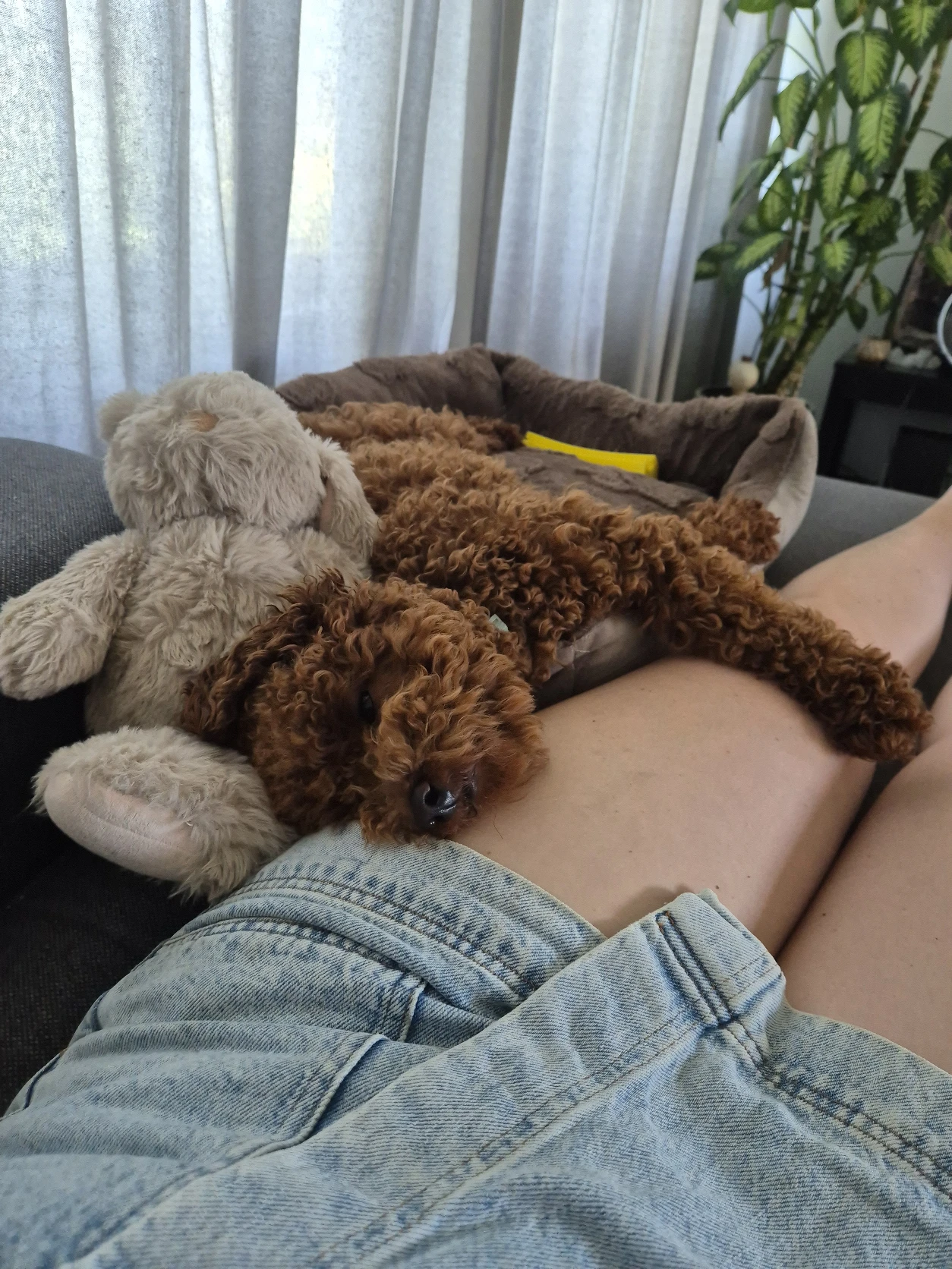 image-8
