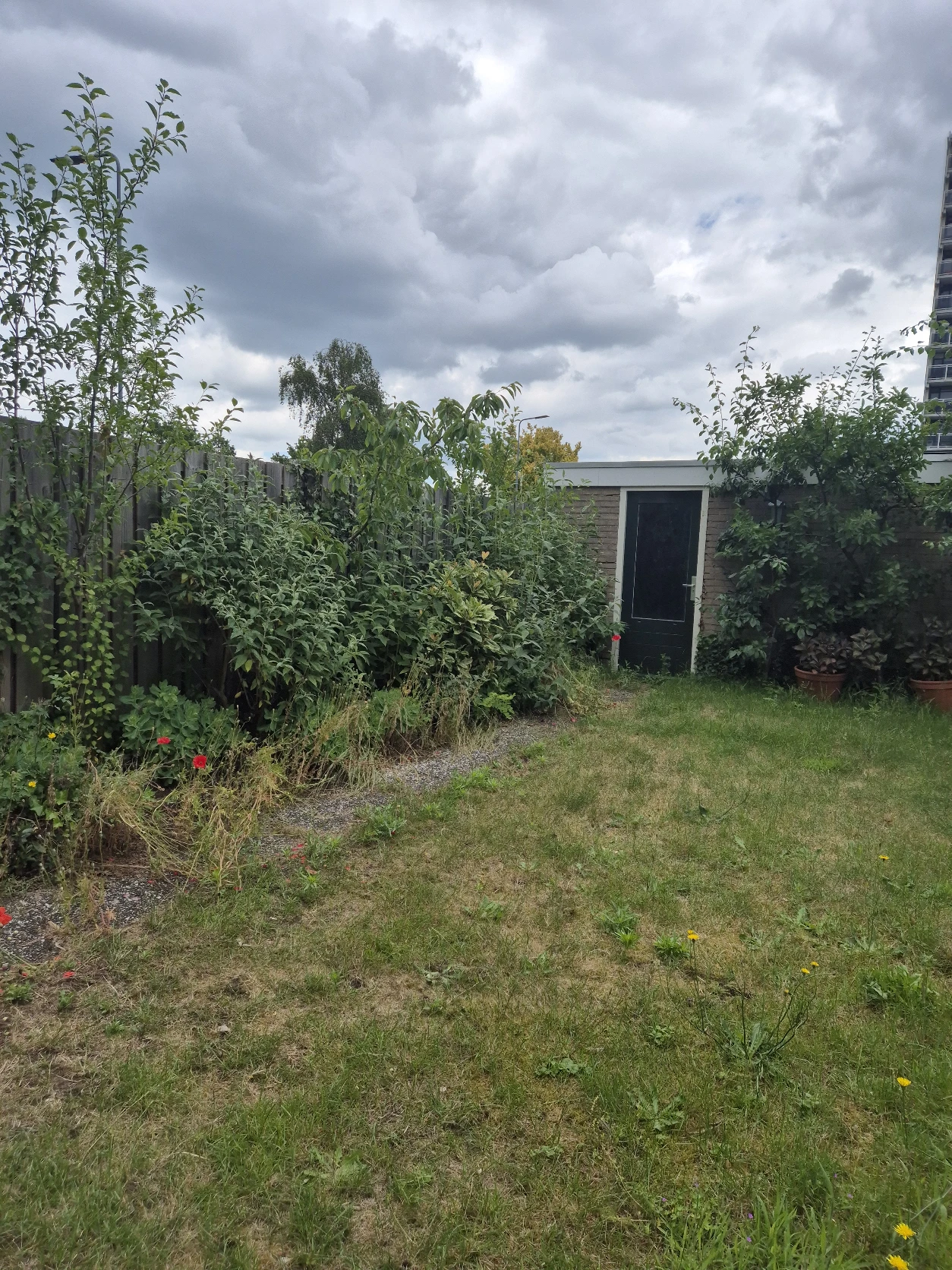 image-15