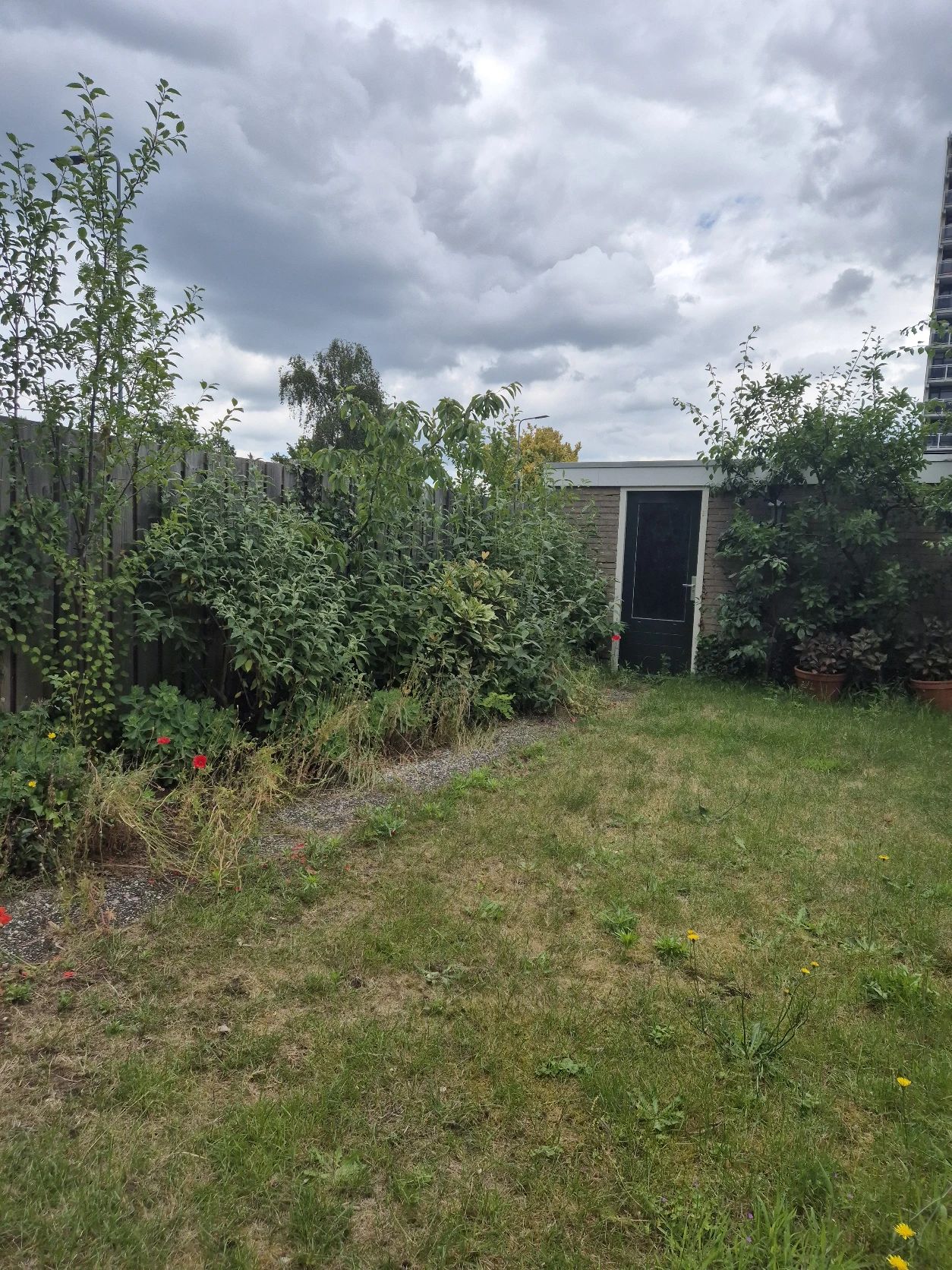 image-15