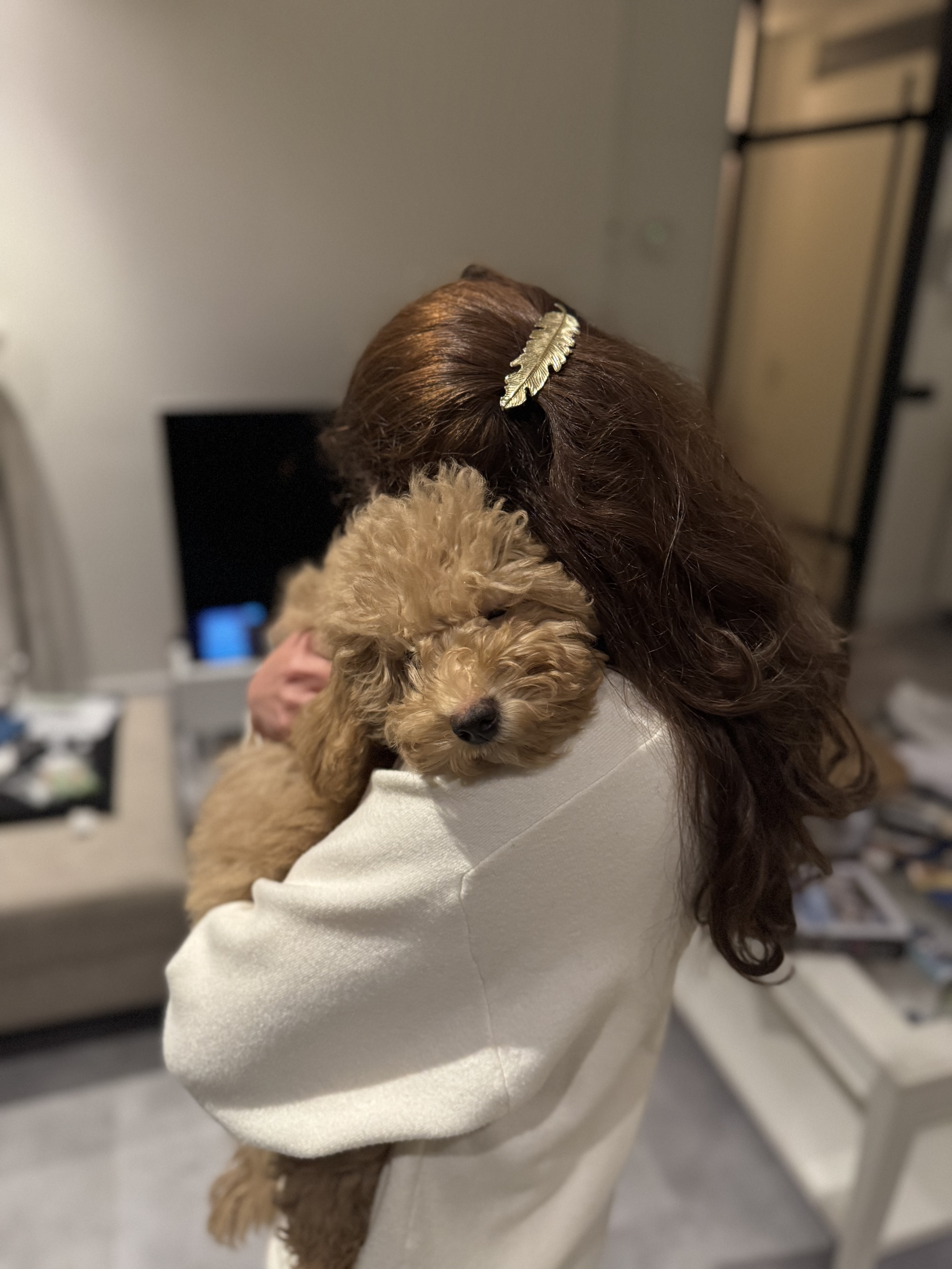 image-4