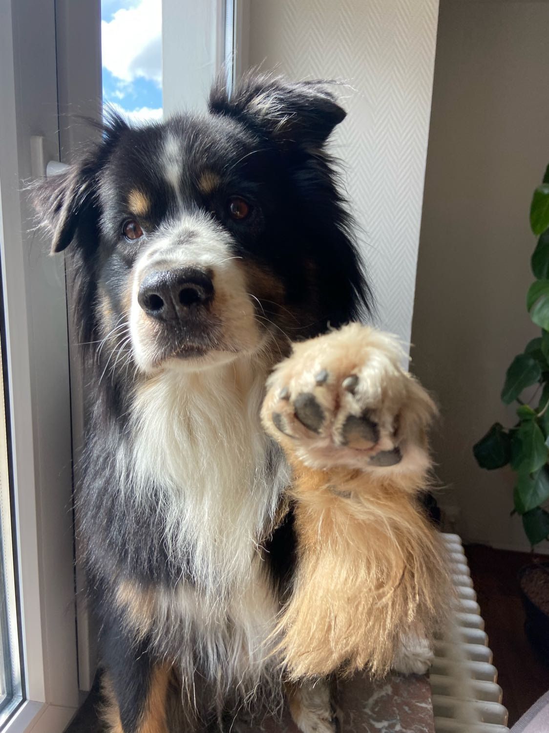 image-0