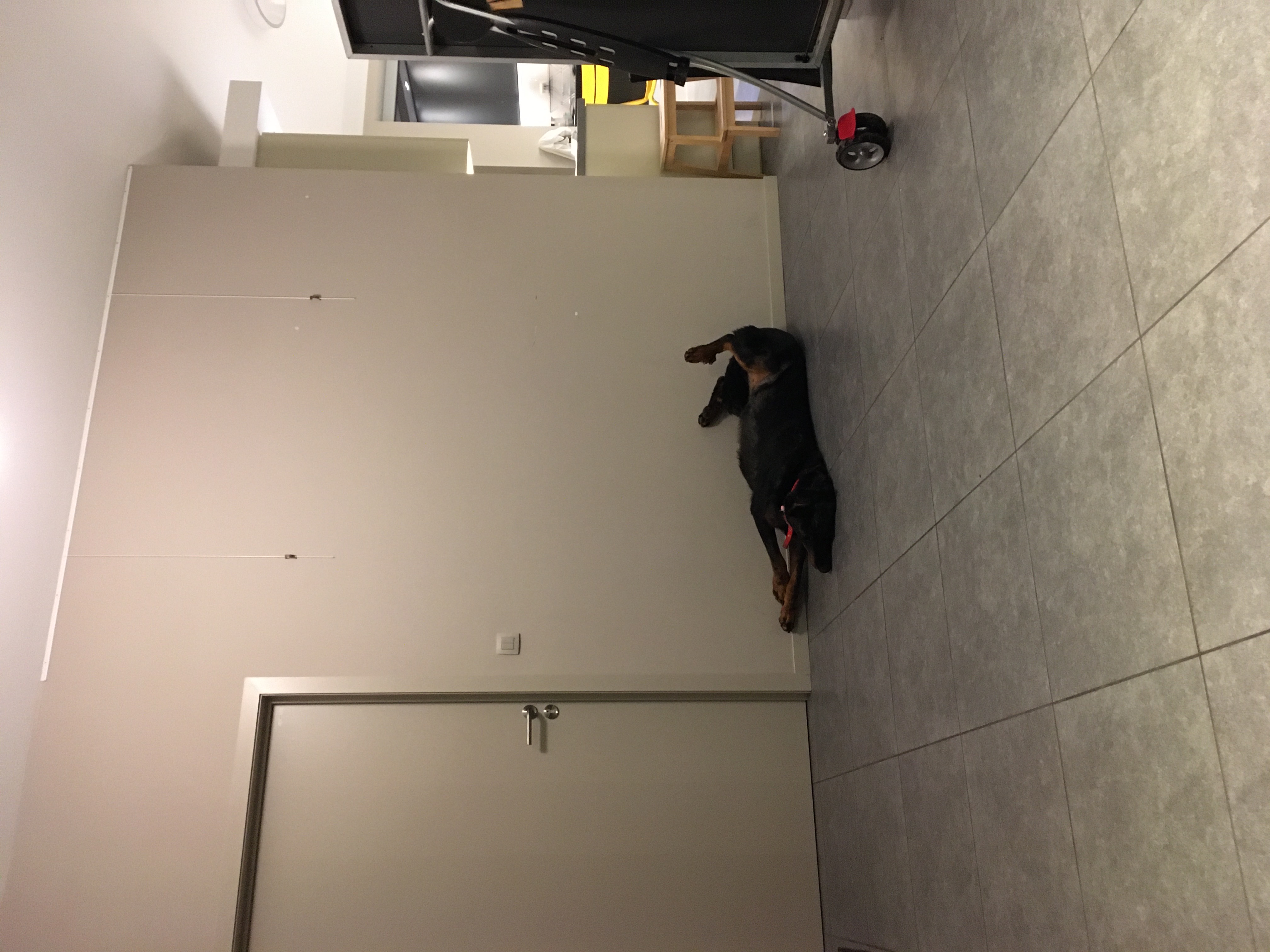 image-10