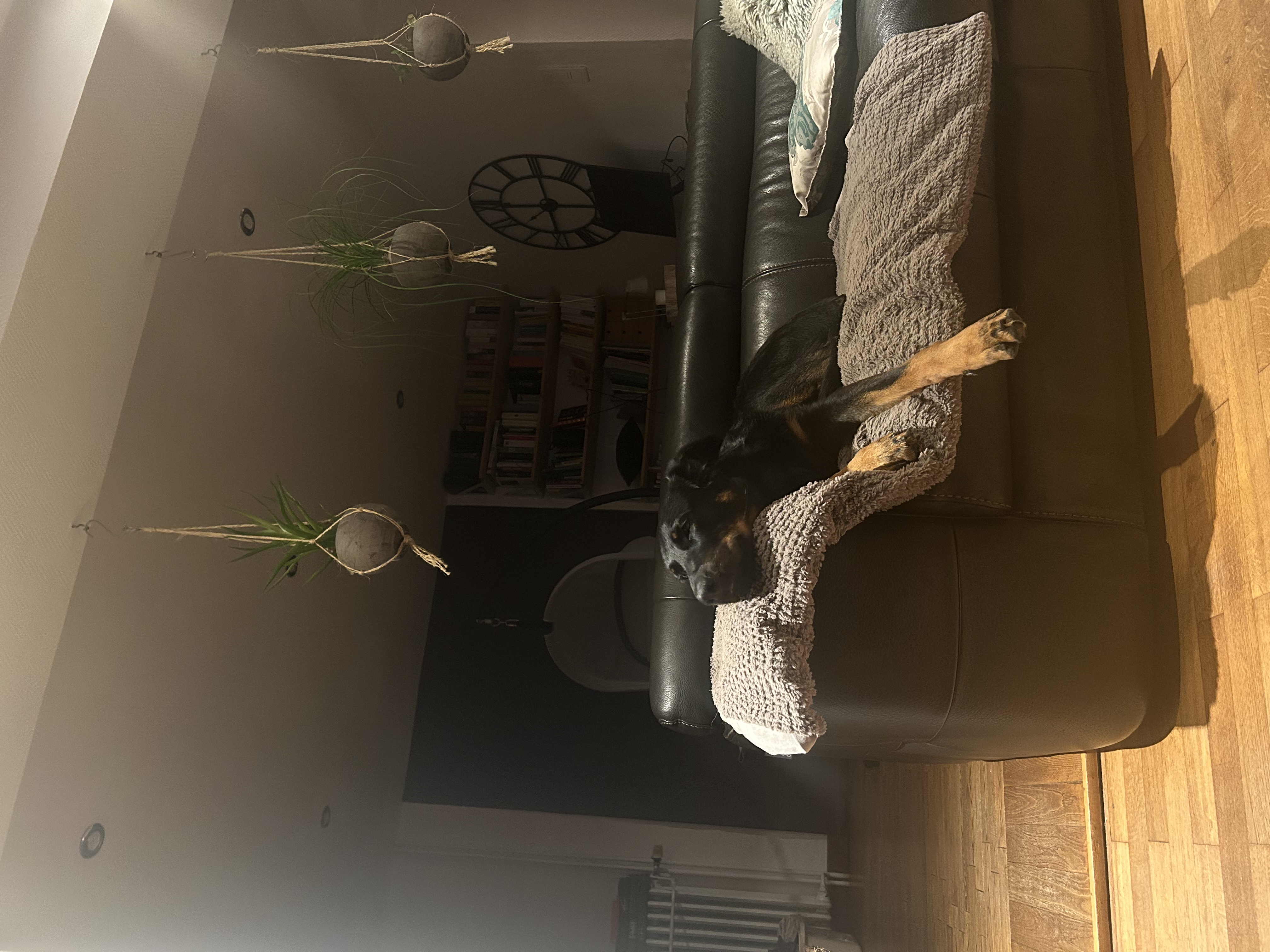 image-9