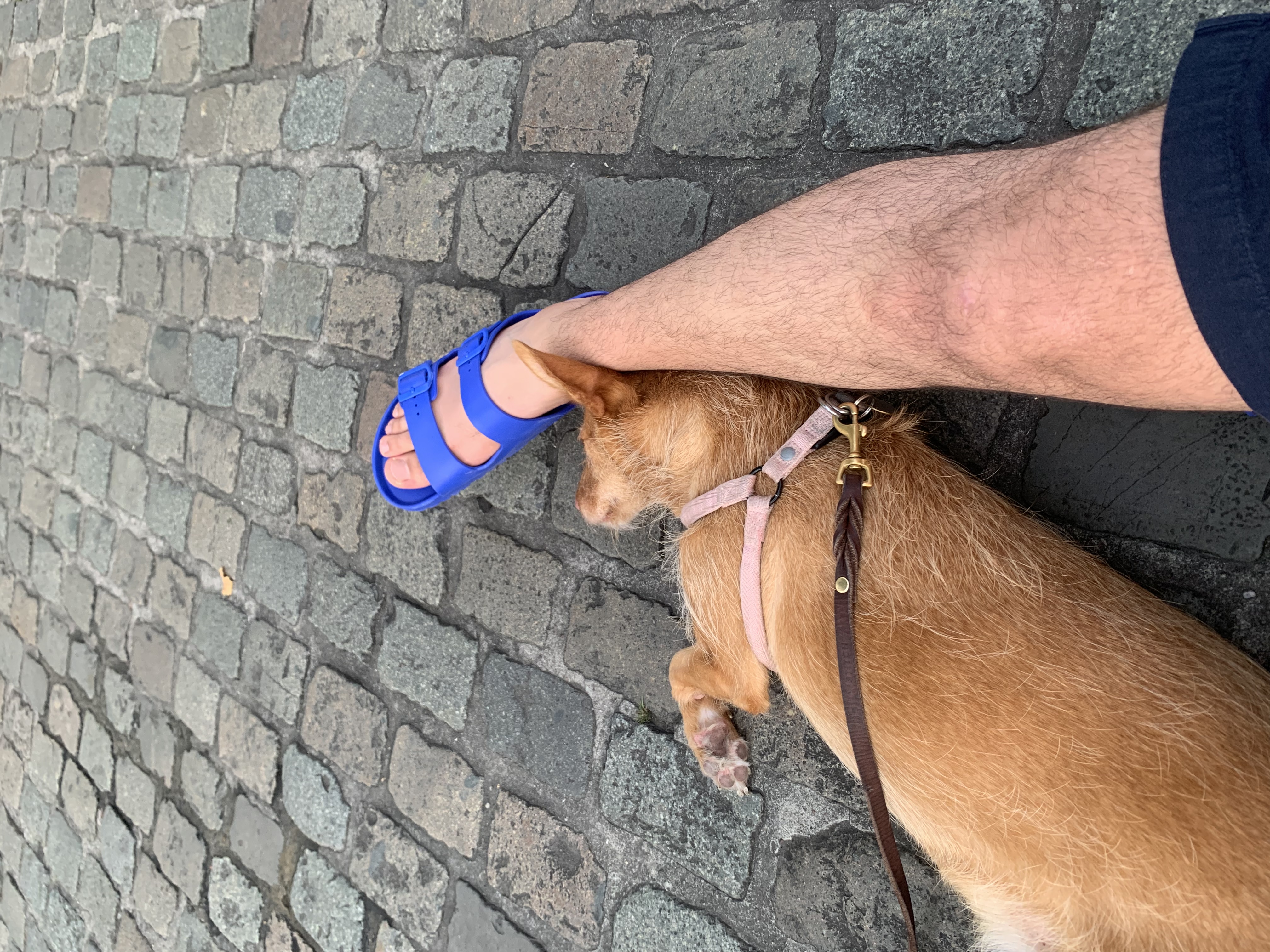 image-7