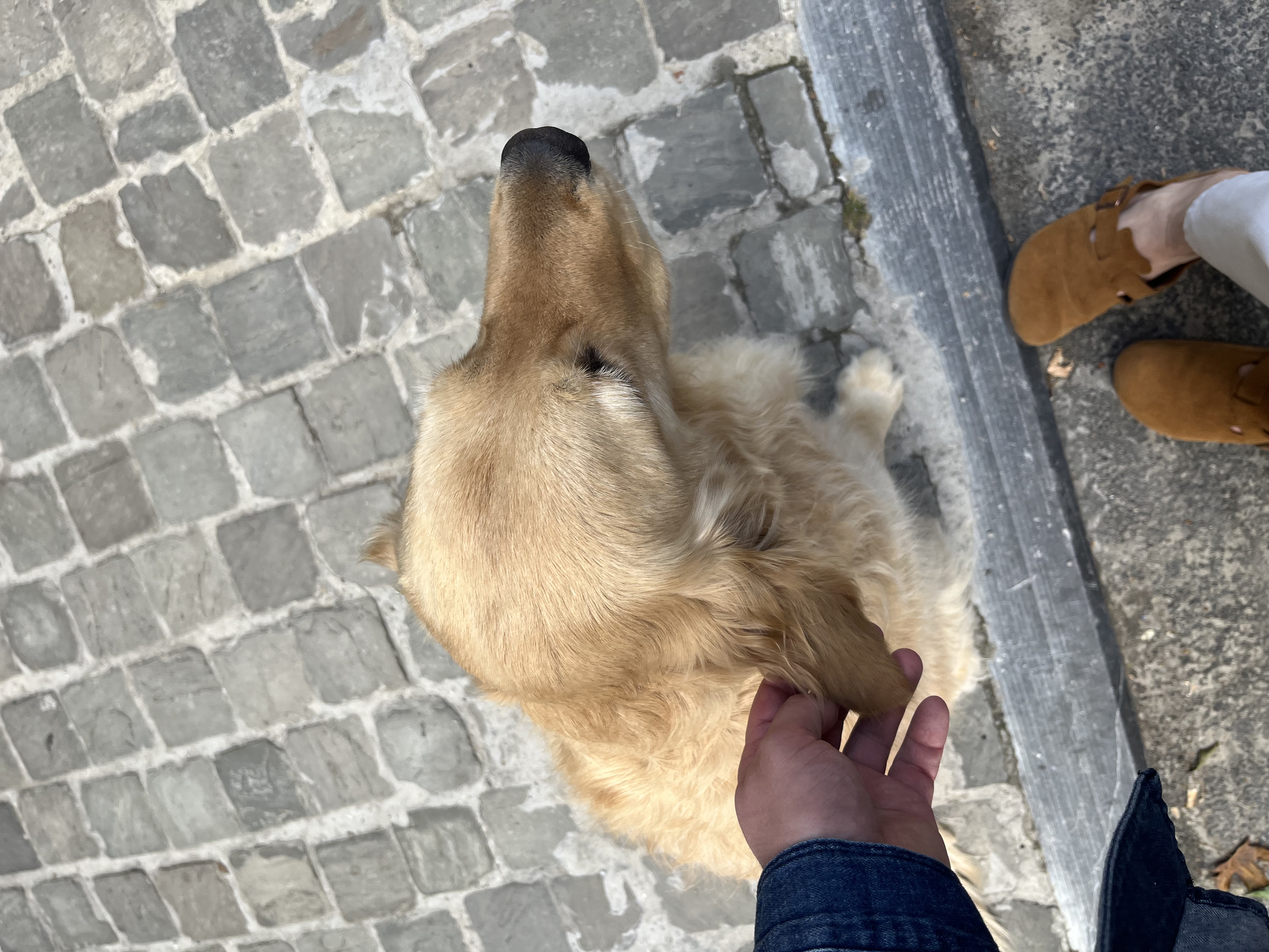 image-10