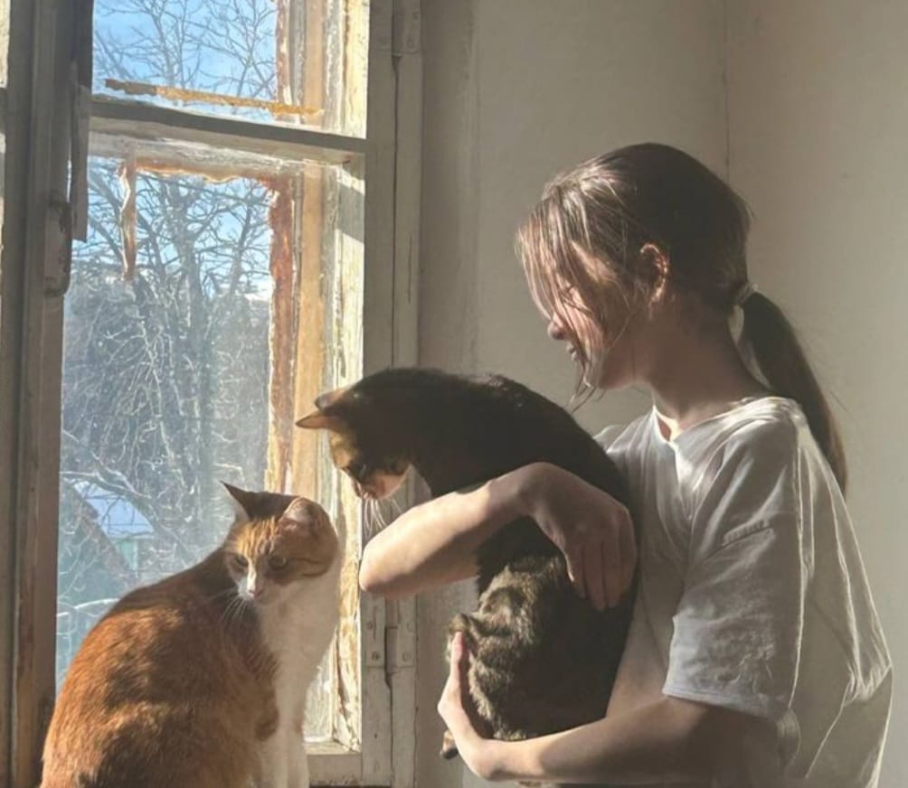 image-12