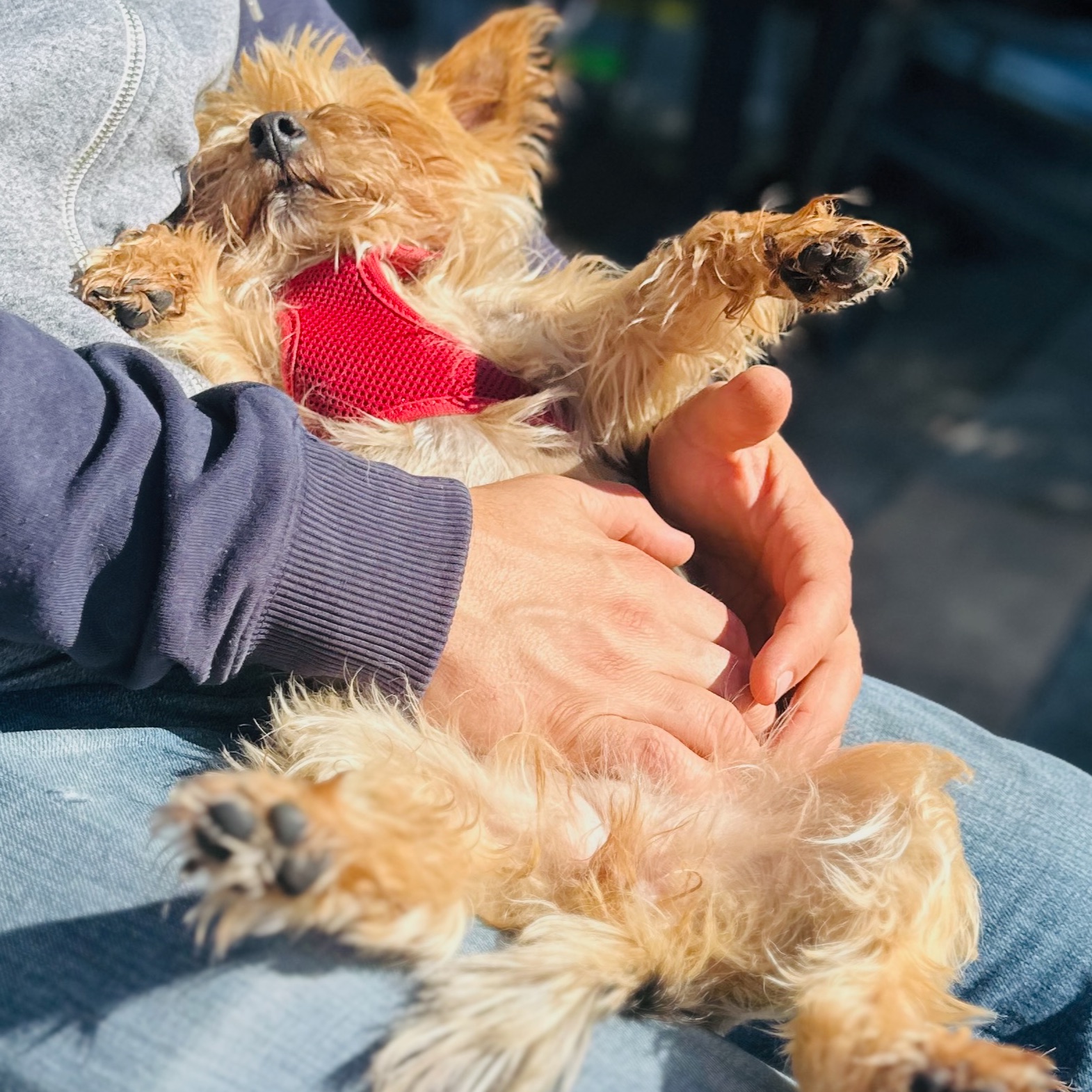Luna