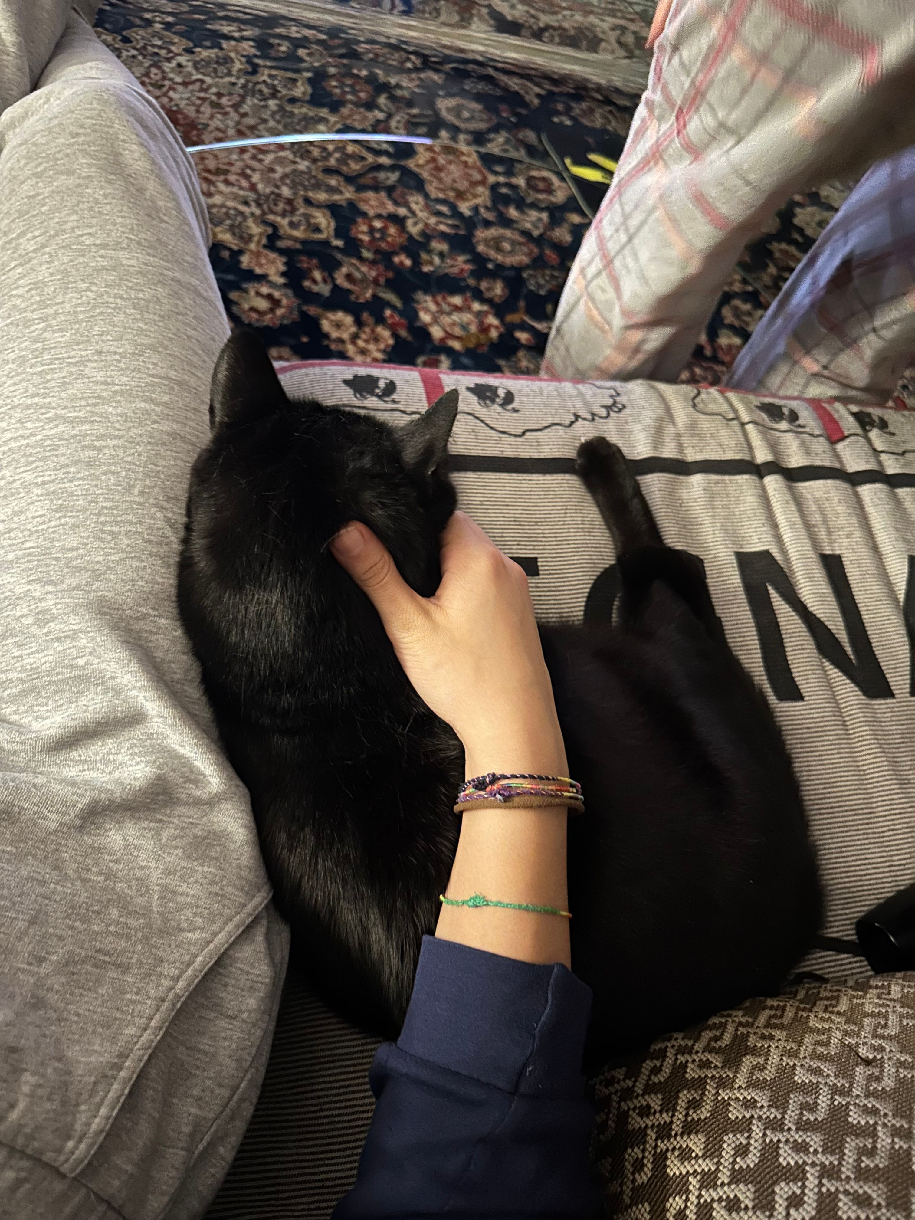image-5