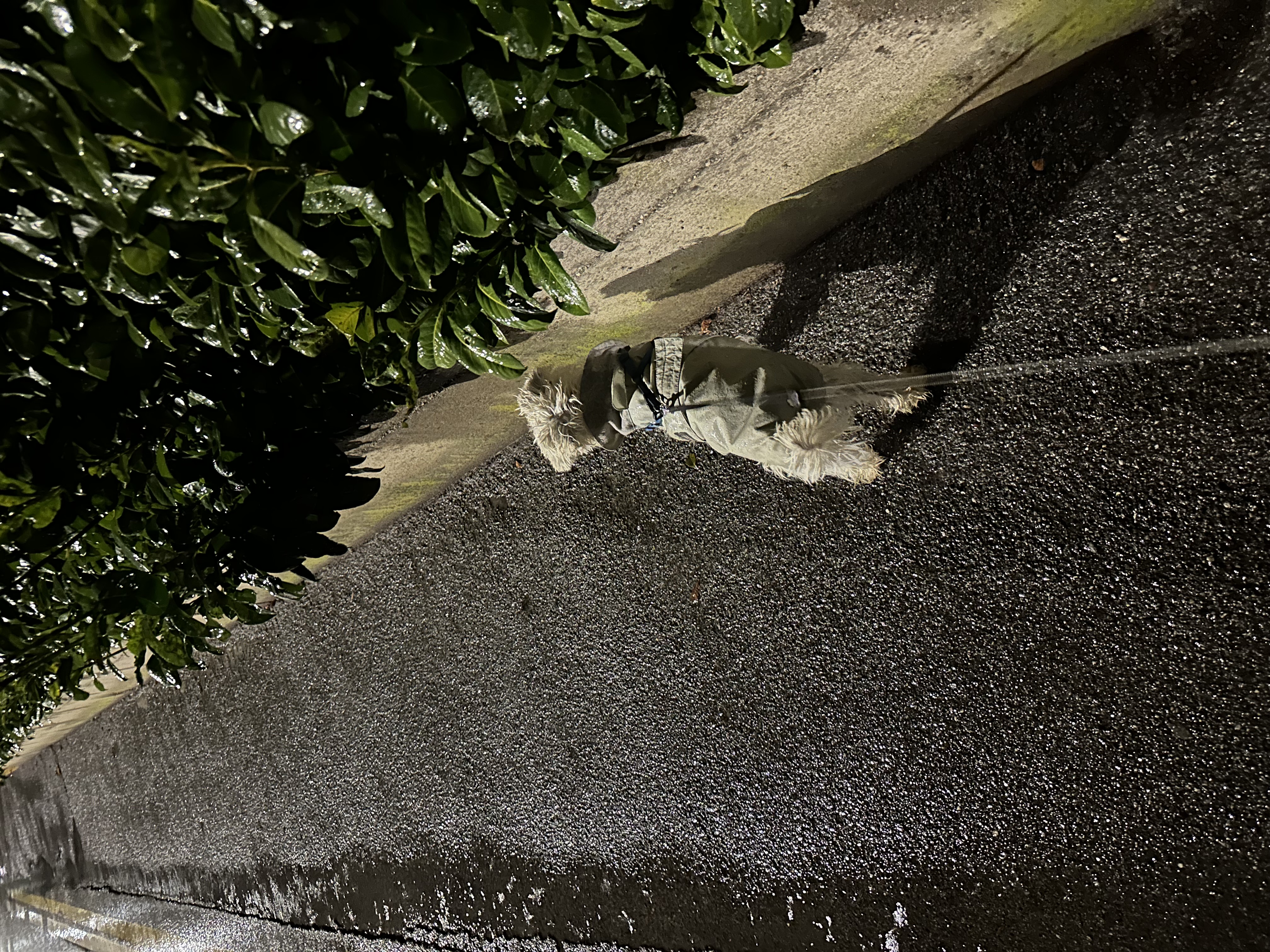 image-8