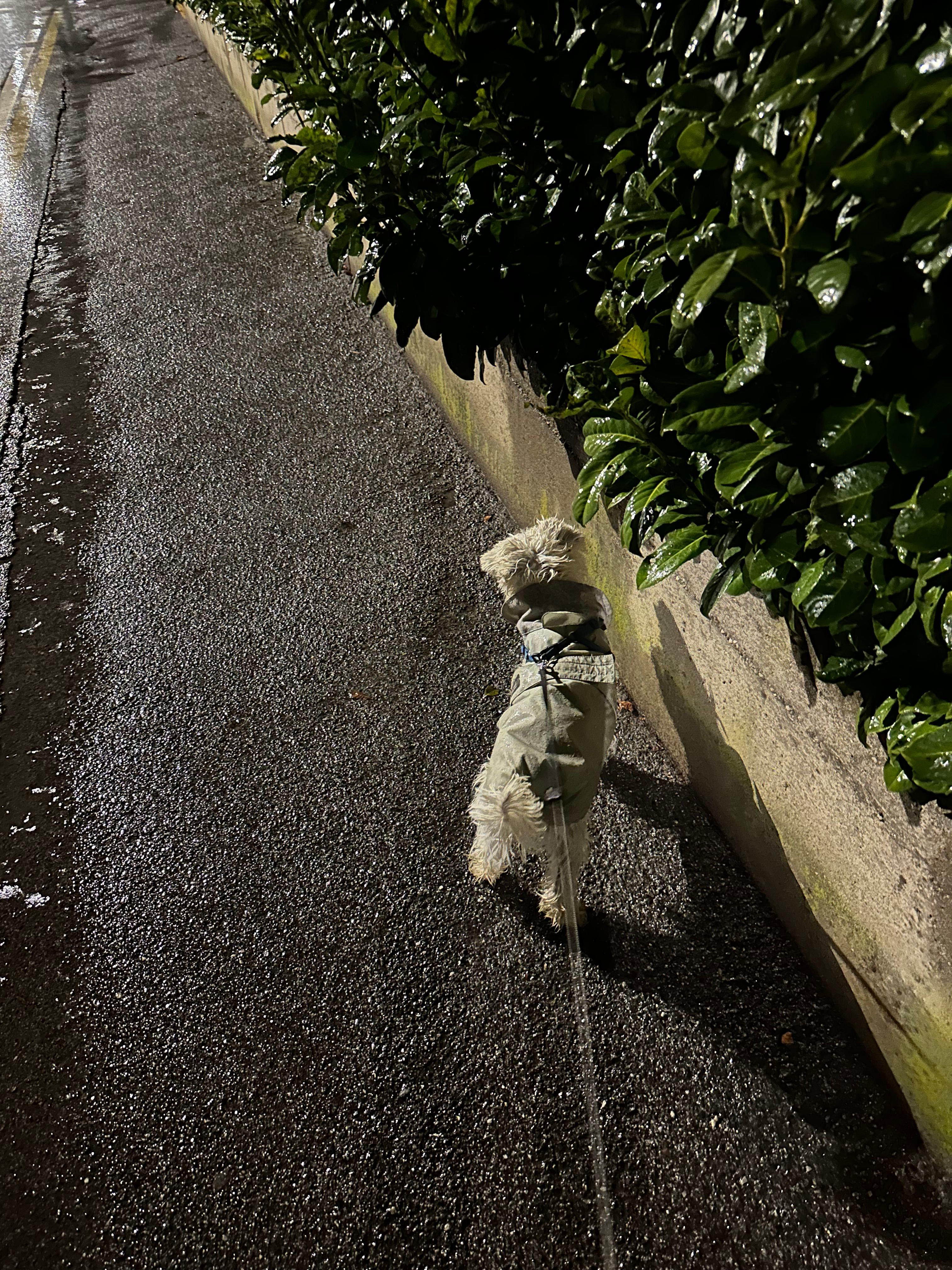 image-8