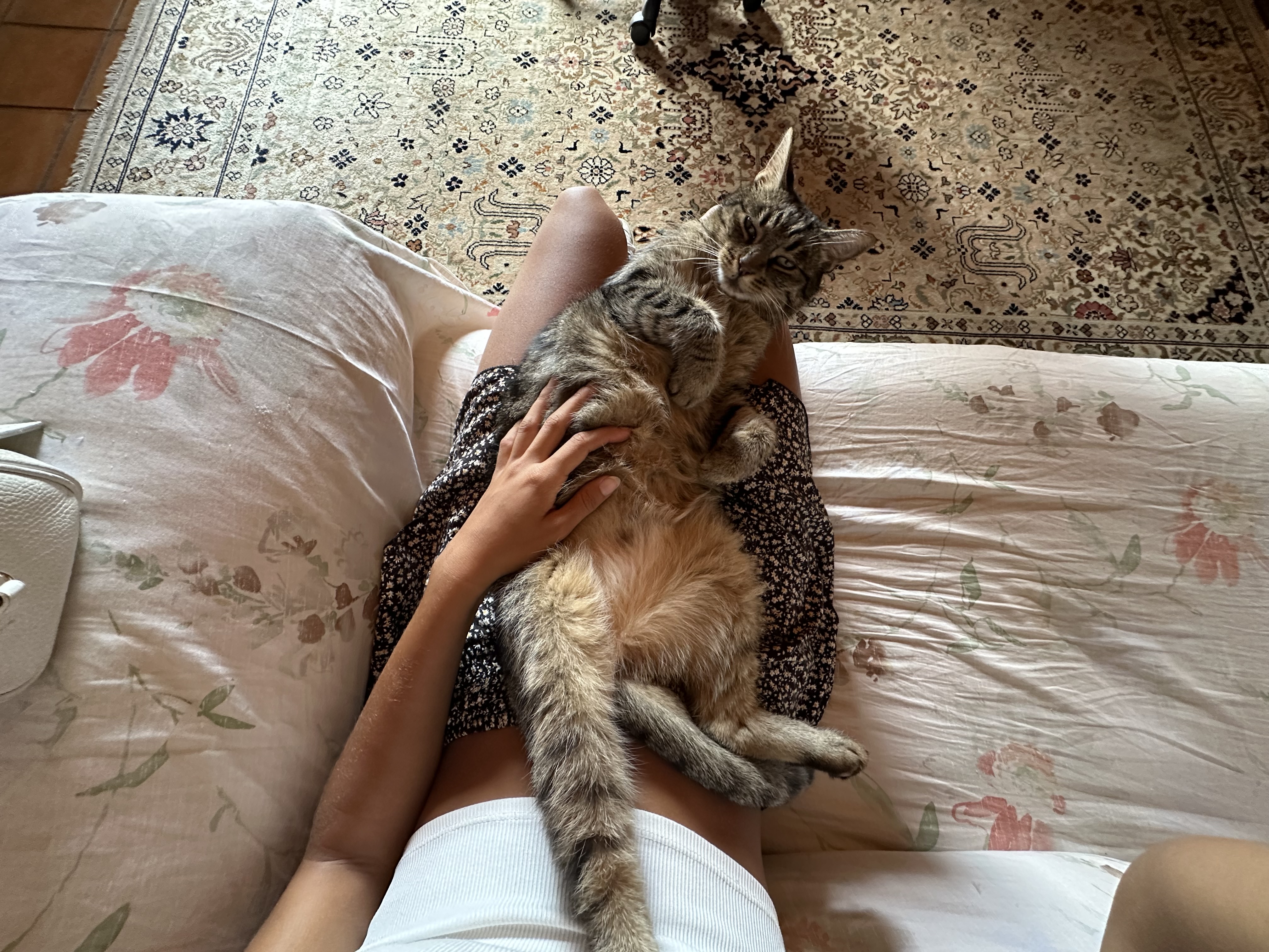 image-19