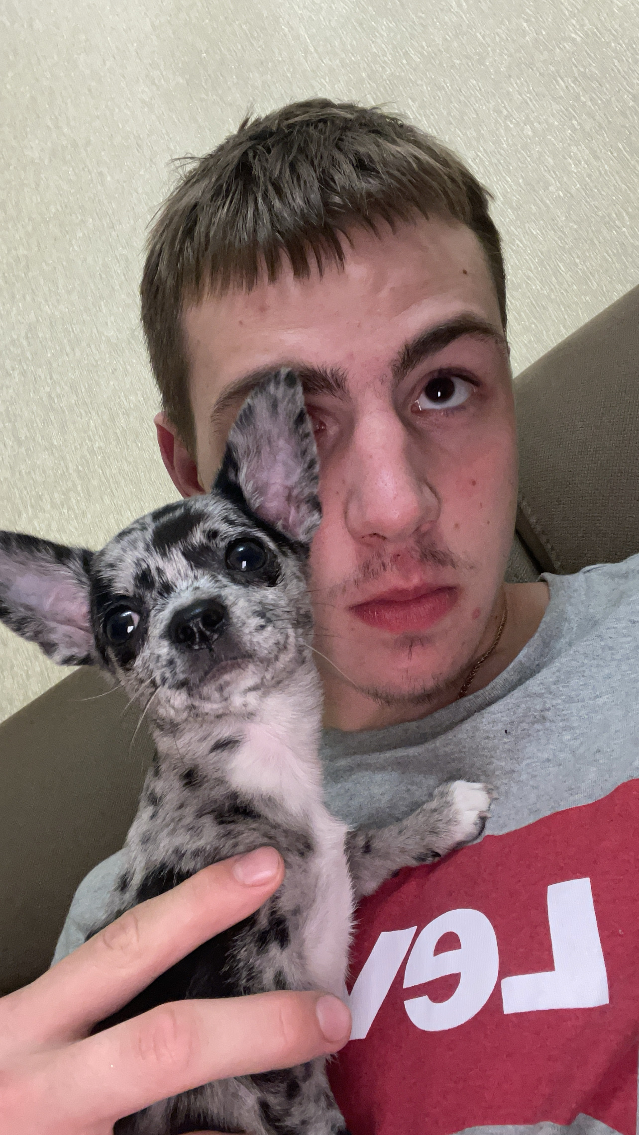 image-4