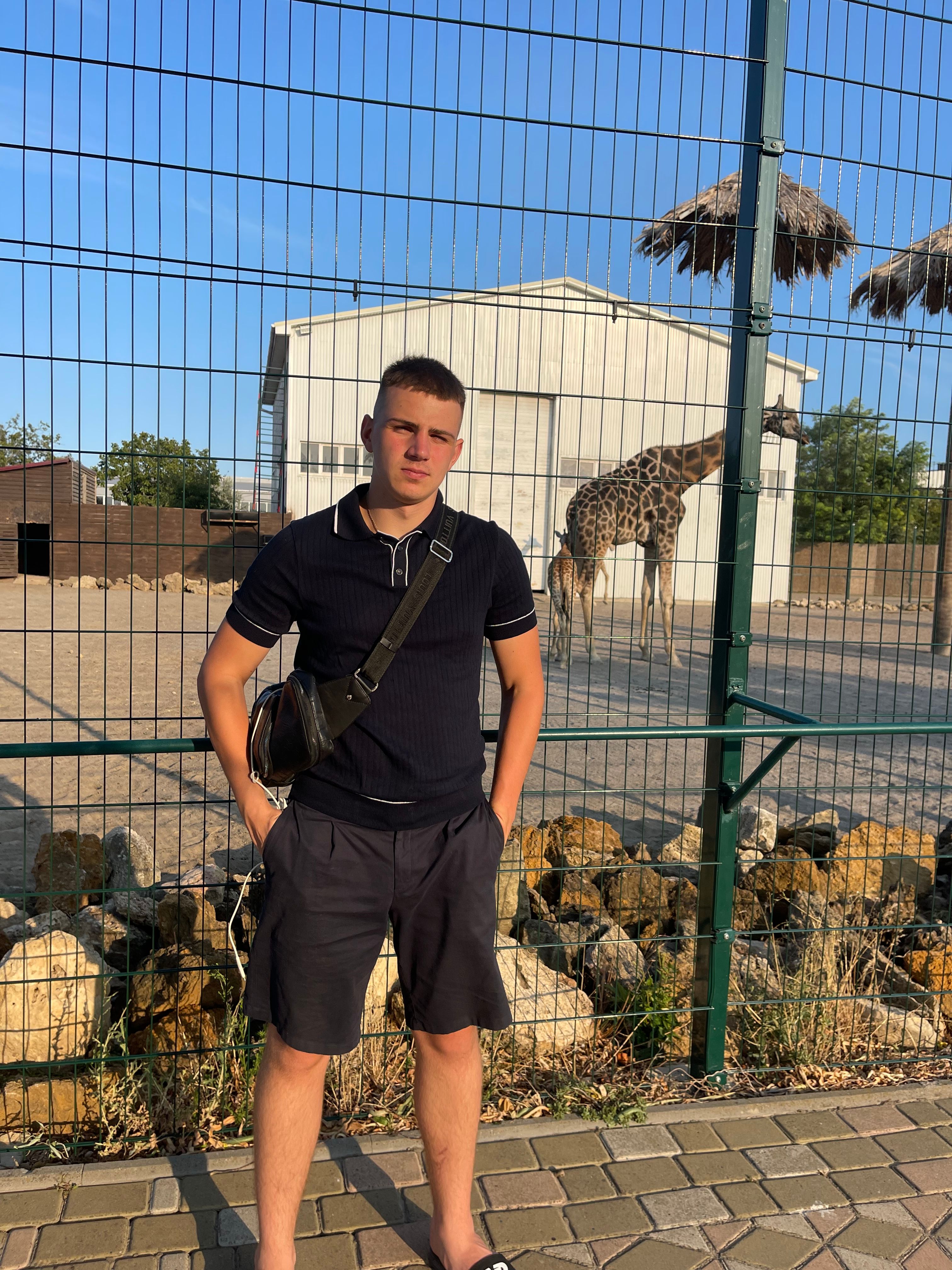 image-7