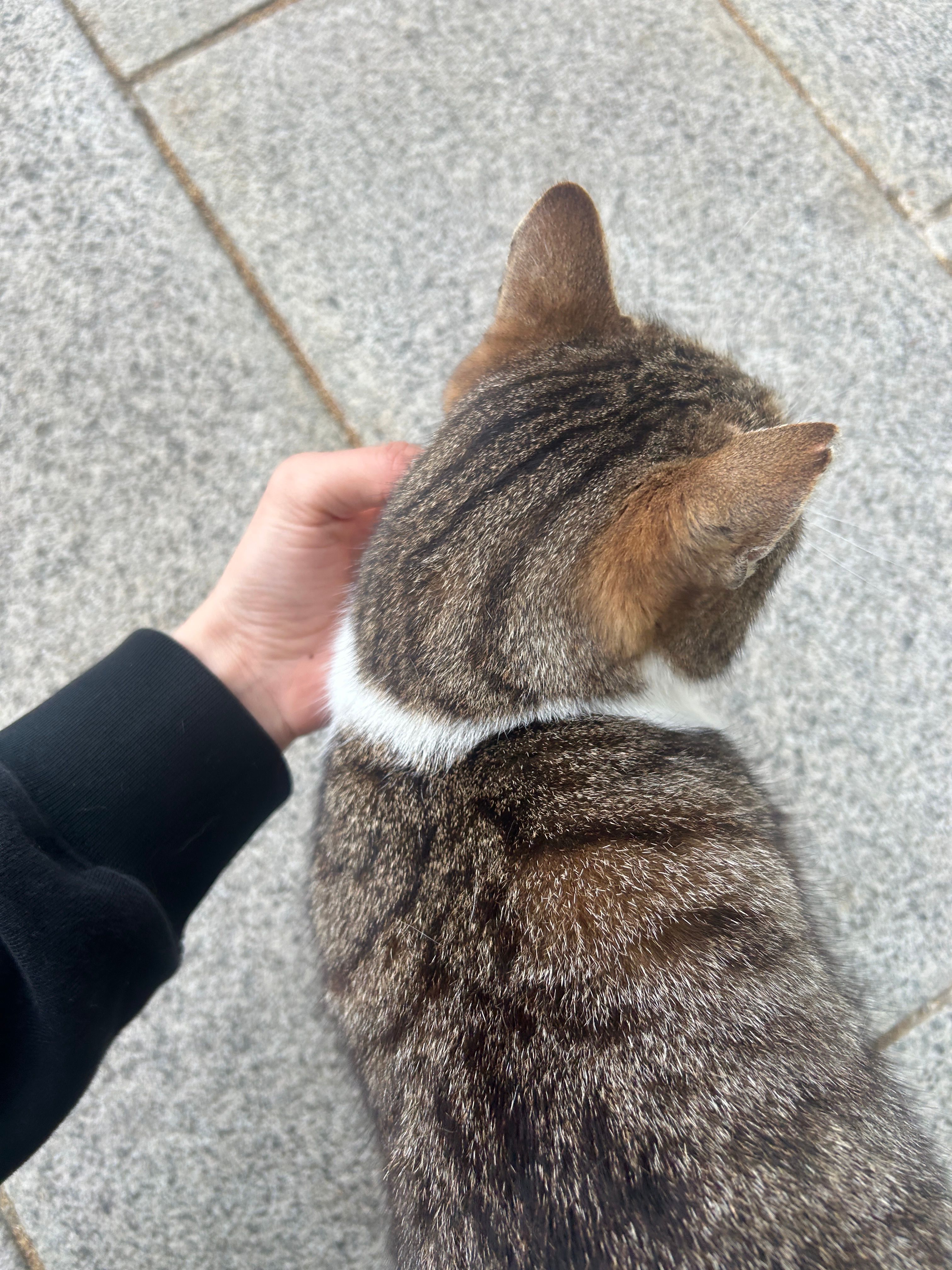 image-7