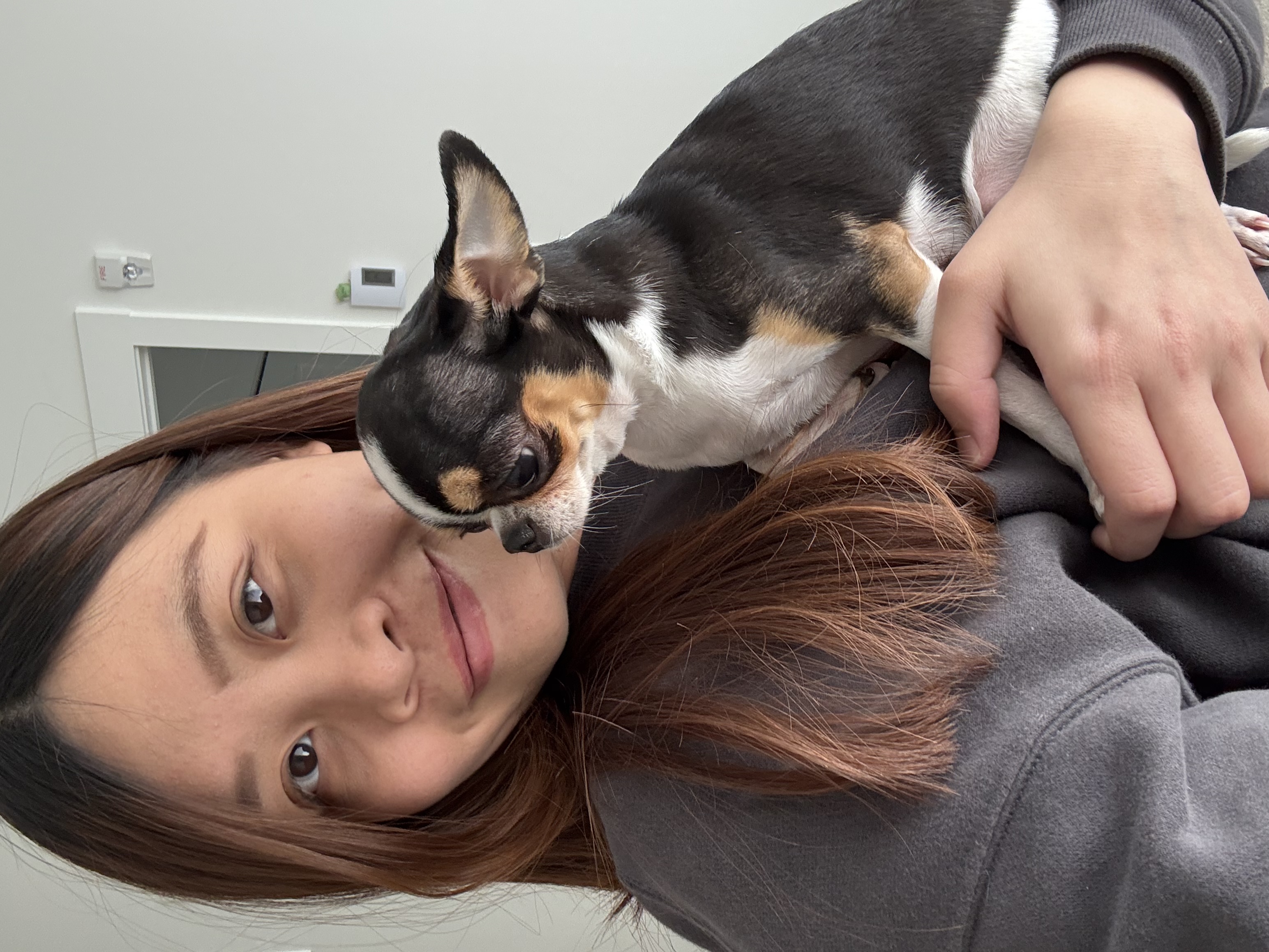 image-8