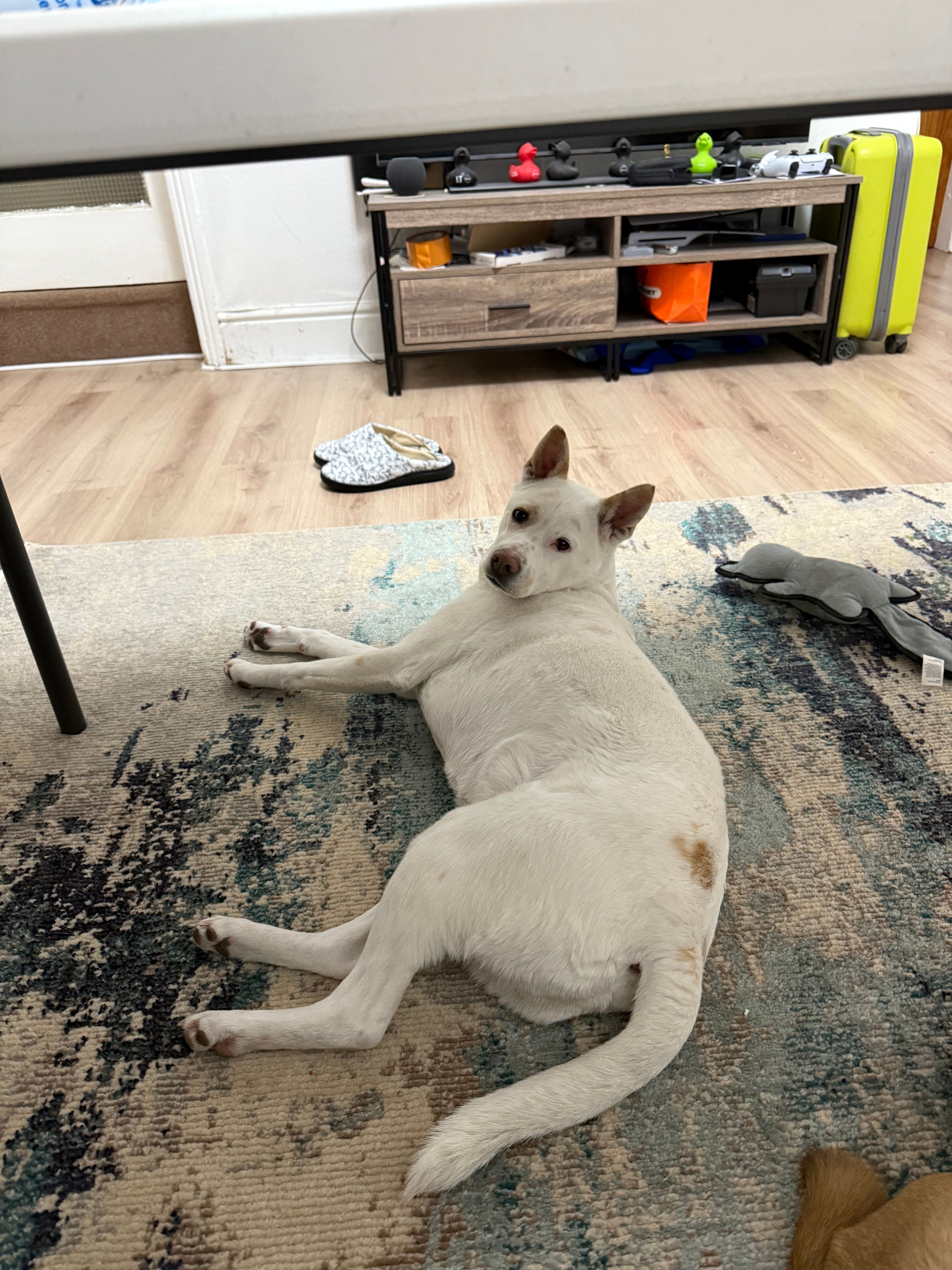 image-18