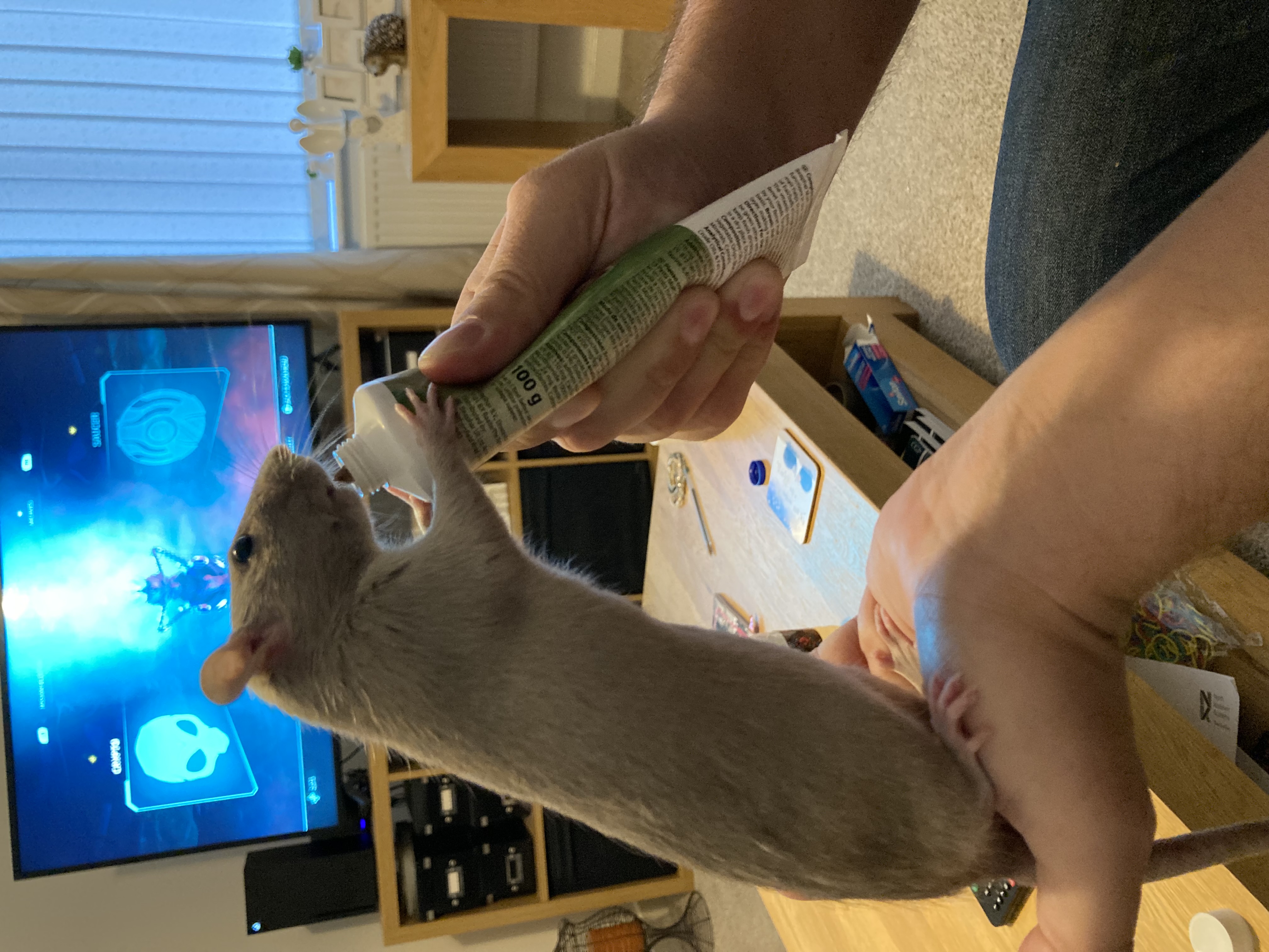 image-6